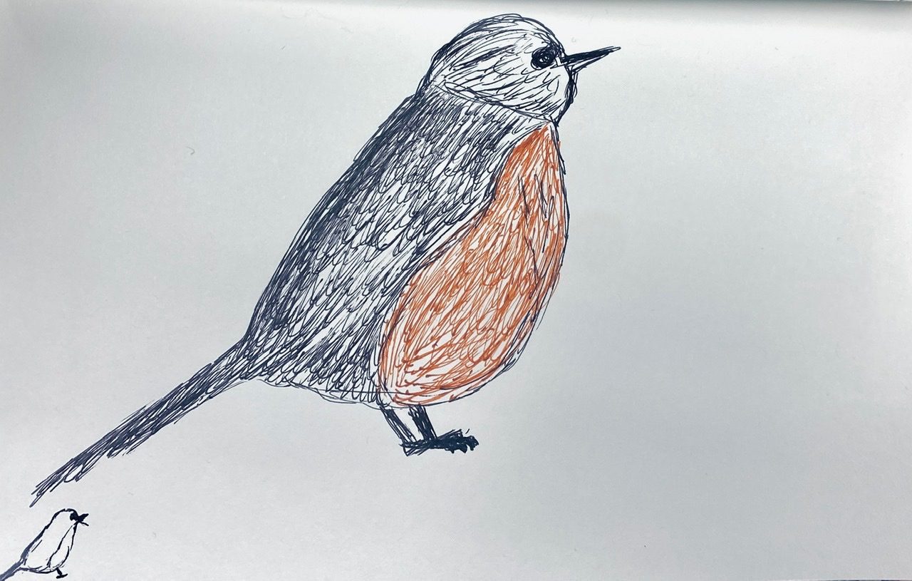 Drawing of a Robin (bird)