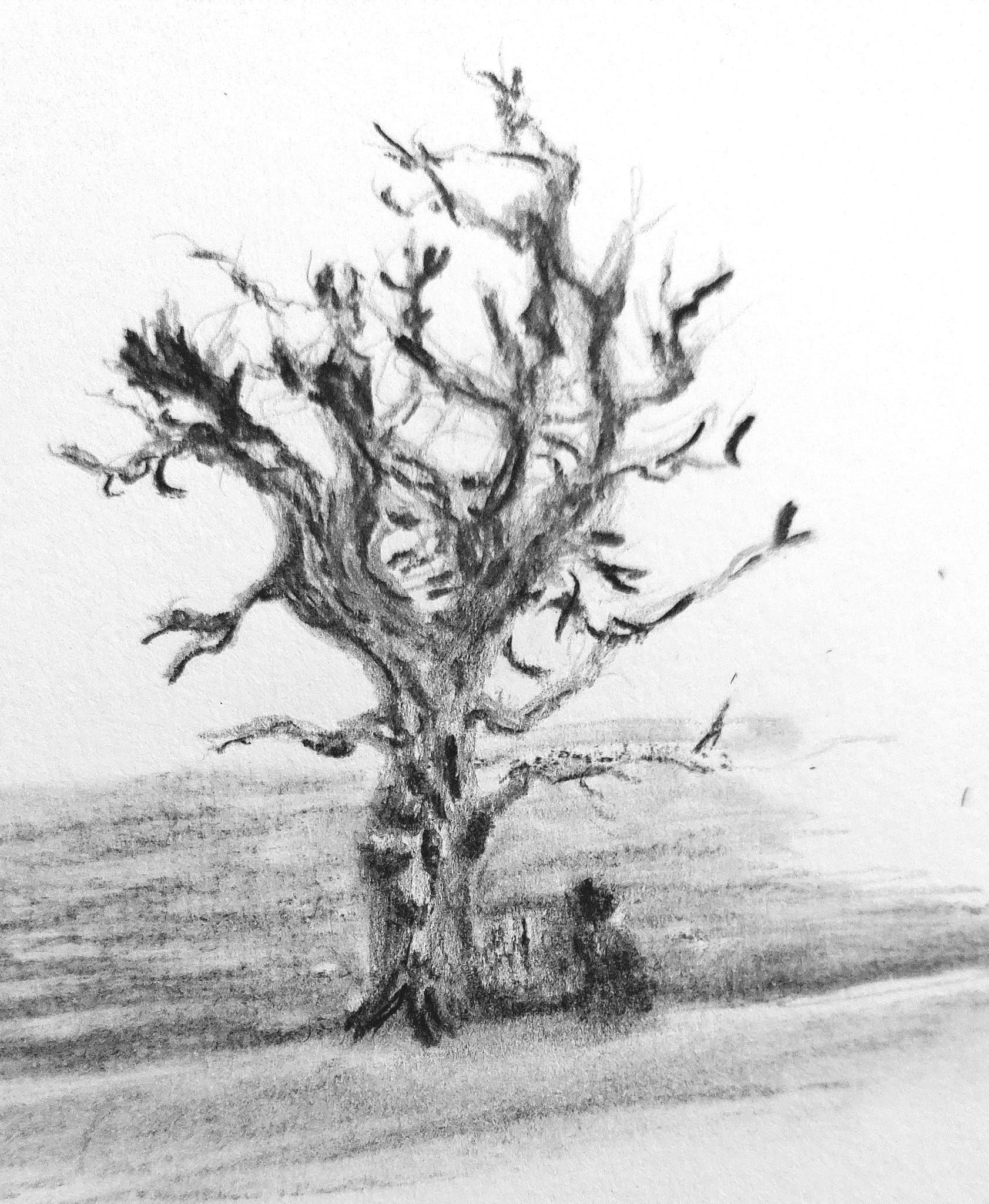 Charcoal and pencil drawing of an oak tree with a person sat on a bench in the distance.