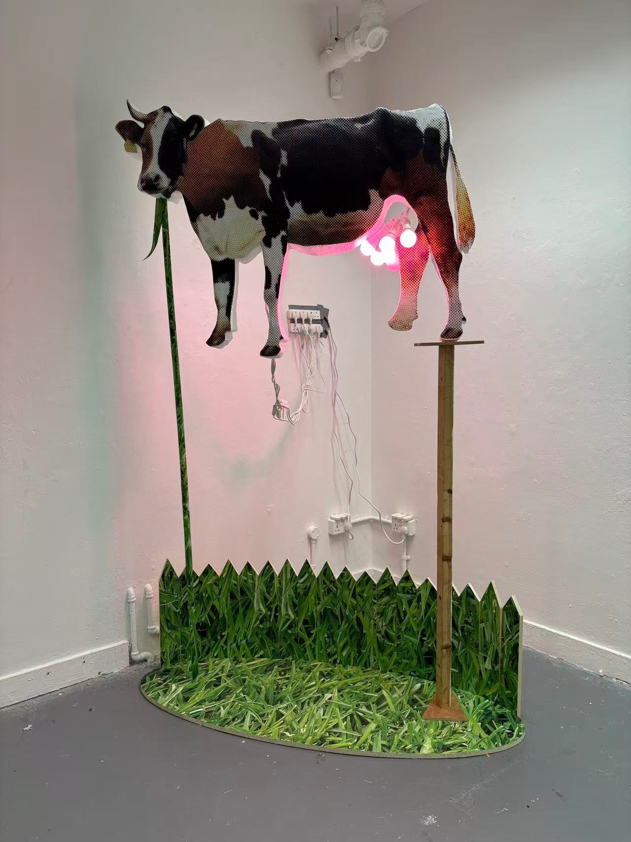 Want to explore a unreasonable cycle