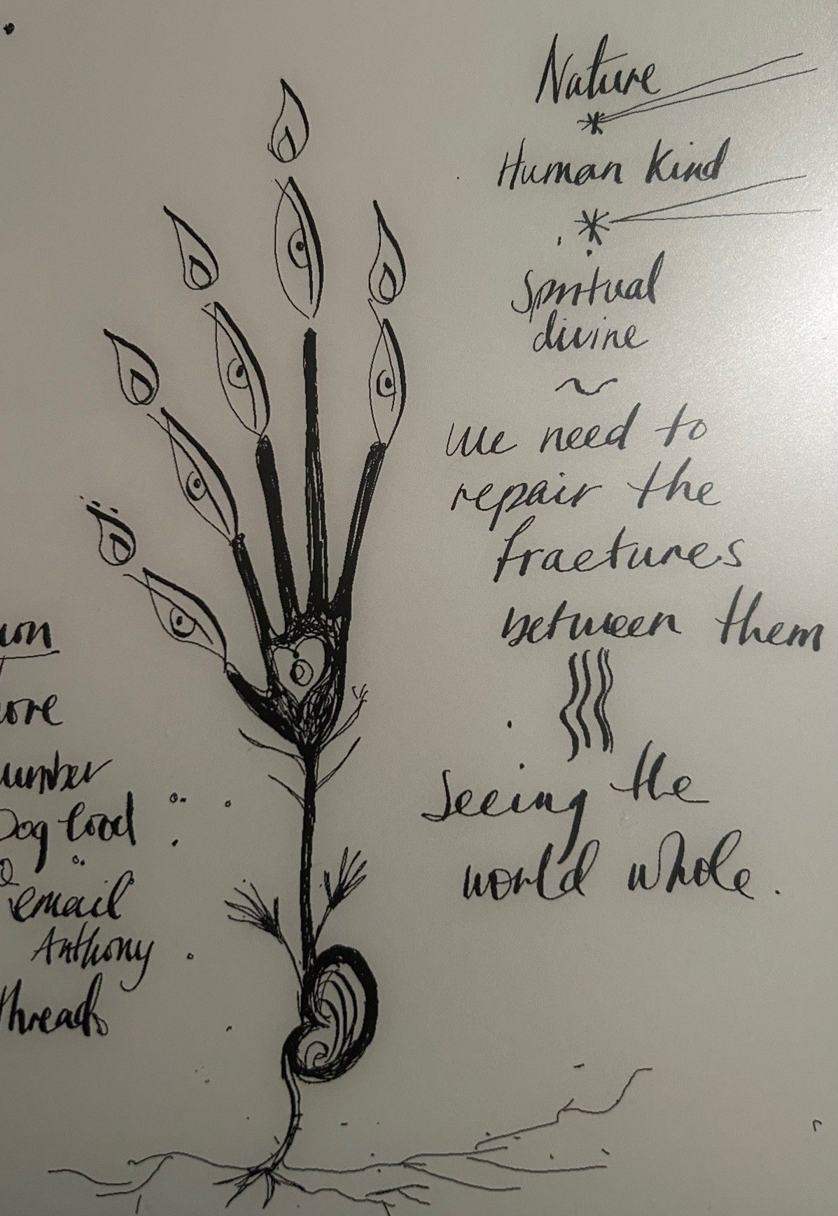 Black and white drawing of a hand that looks like a plant with eyes on the end of the fingers The writing says Nature, human kind, spiritual divine, we need to repair the fractures between them-seeing the world whole