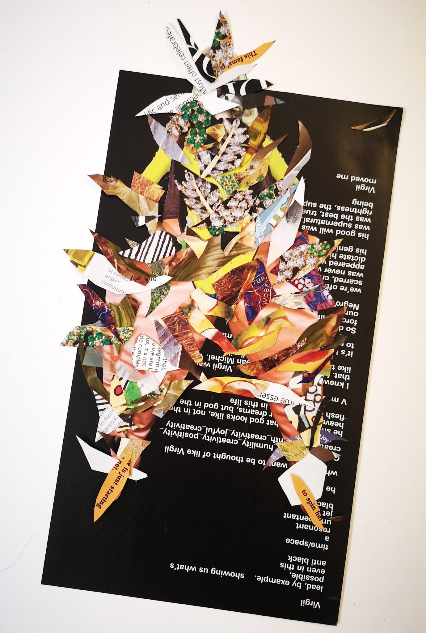 collage onto black paper with white writing representing a growing plant