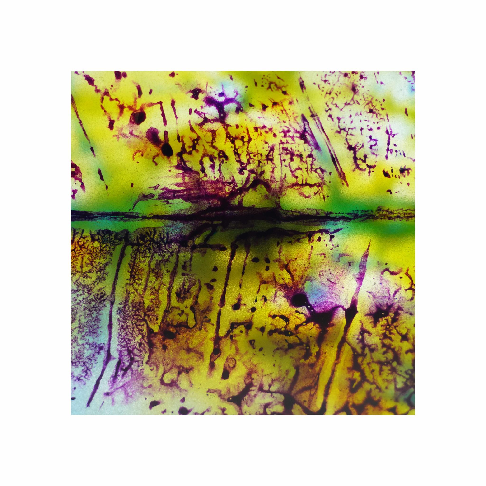 Close up photography from a paint base figure a leaf, backlight