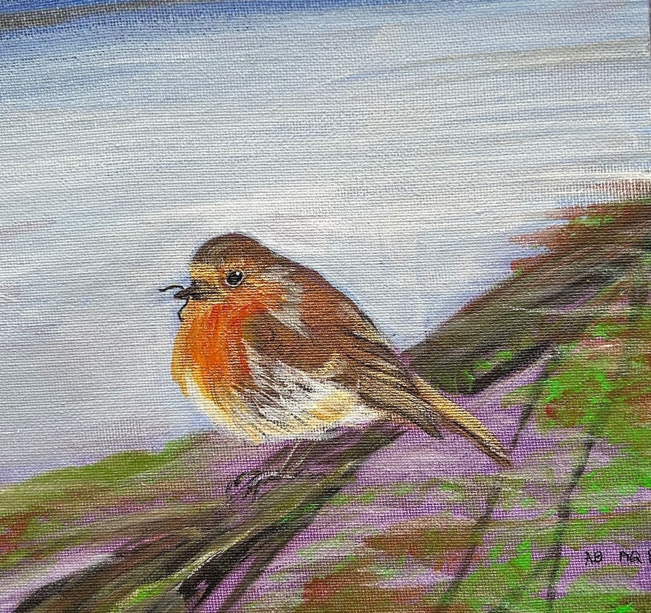 A Robin bird sitting on a branch - with a worm in its mouth