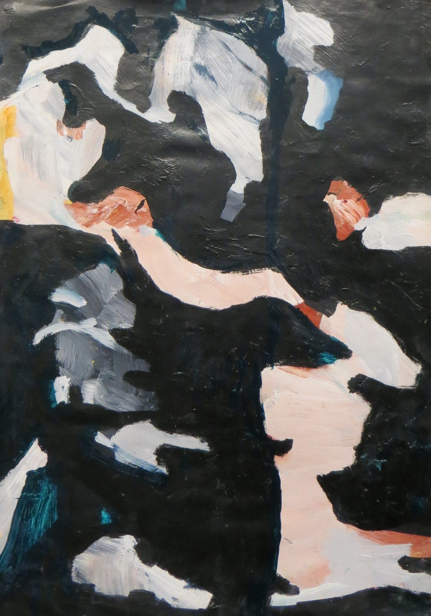 Household paint, acrylic paint on paper