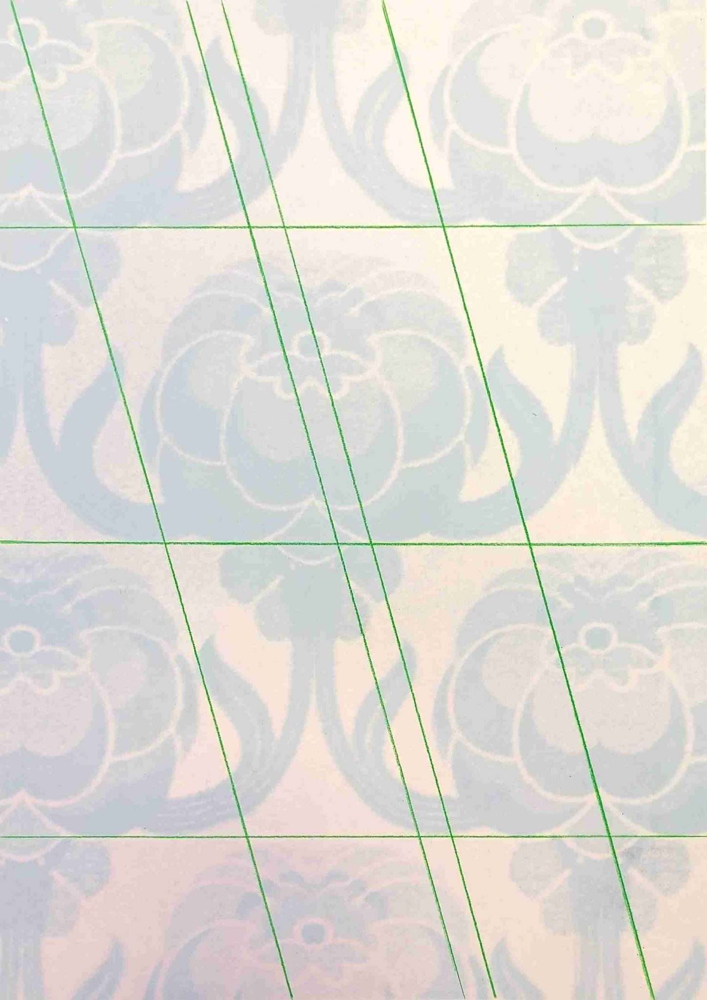 Colour pencil on screenprint on paper