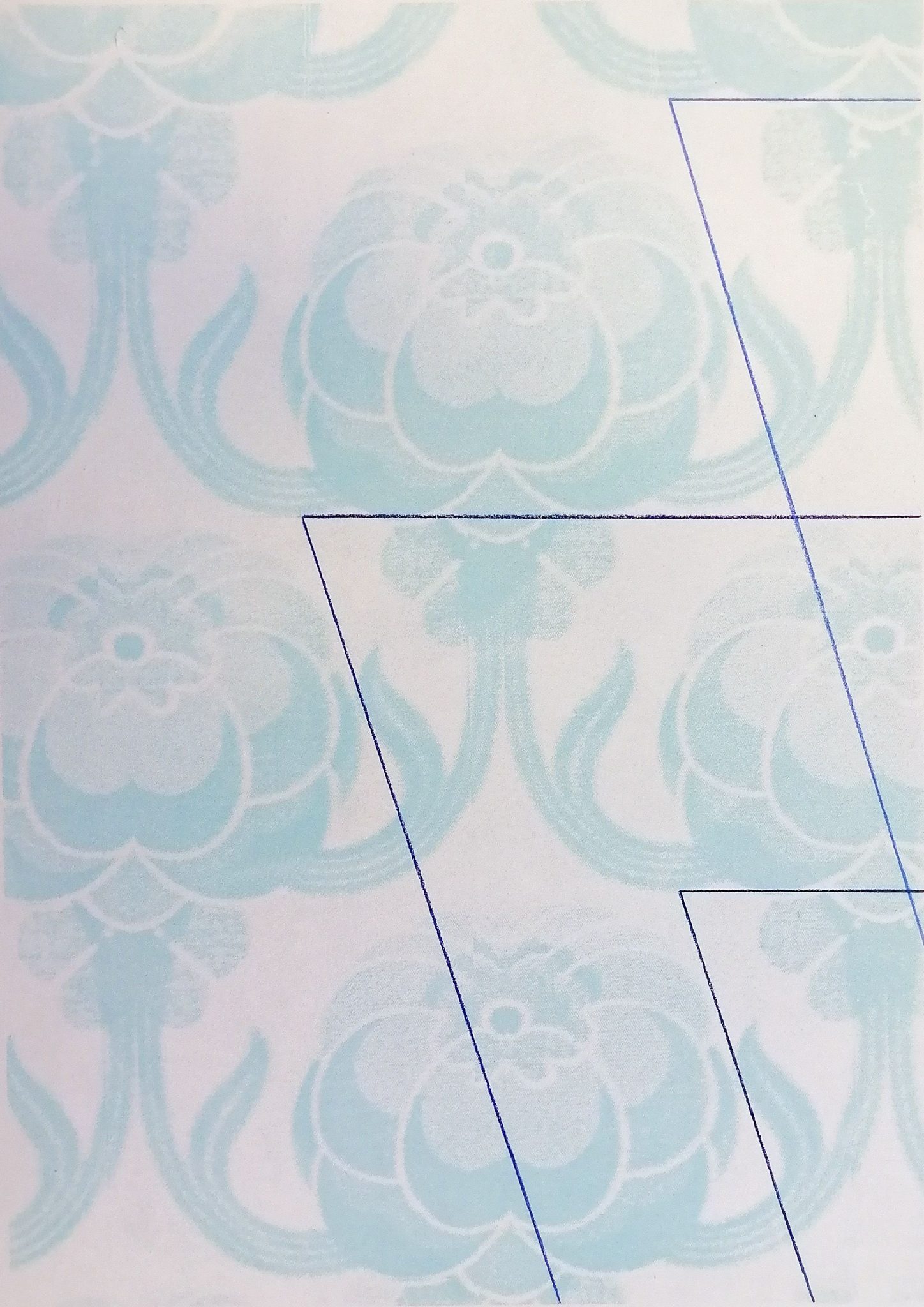 Colour pencil on screenprint on paper