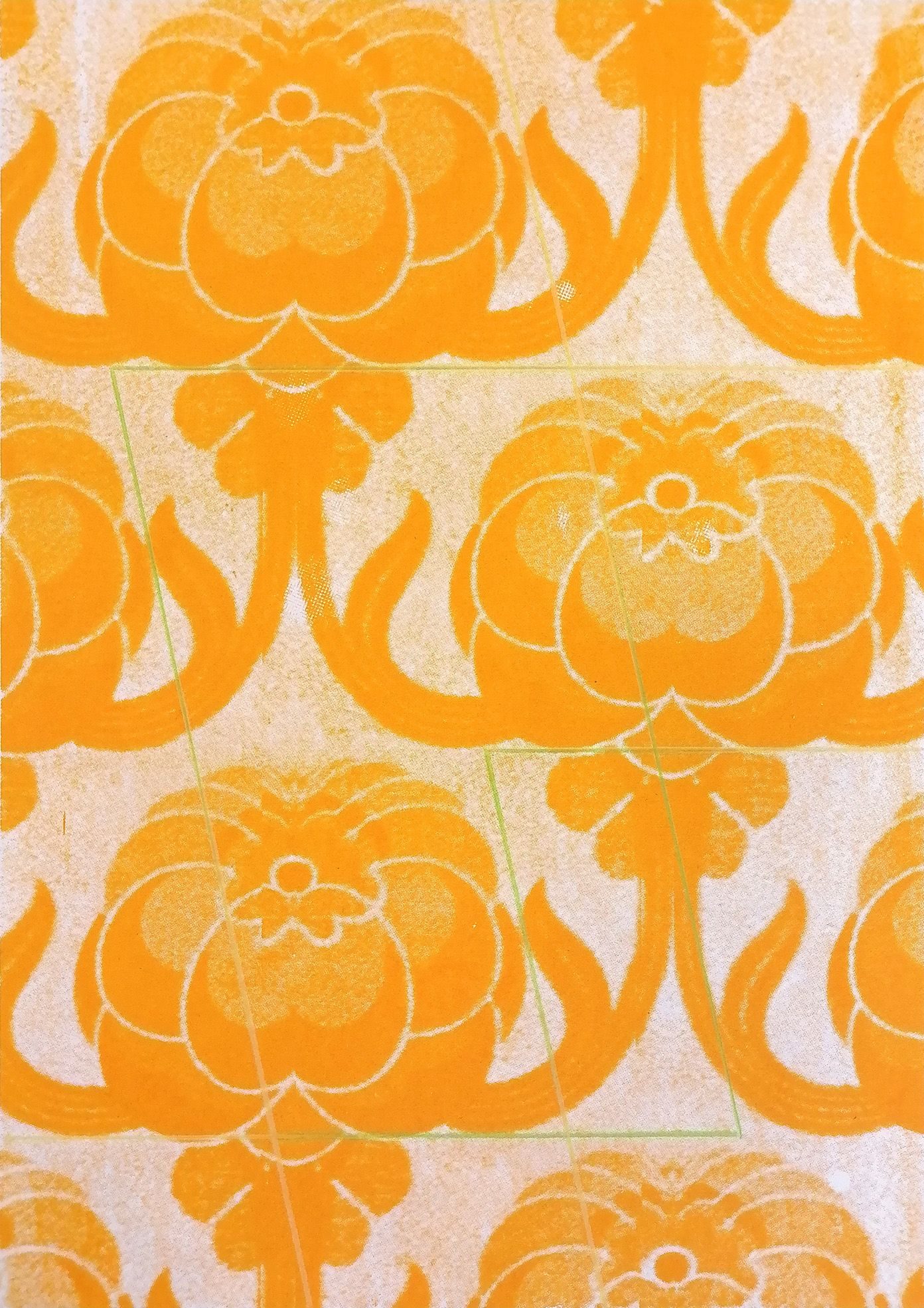 Colour pencil on screenprint on paper