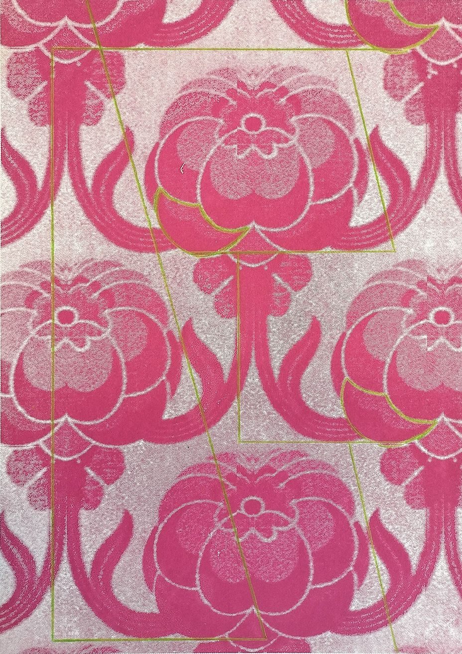 Colour pencil on screenprint on paper