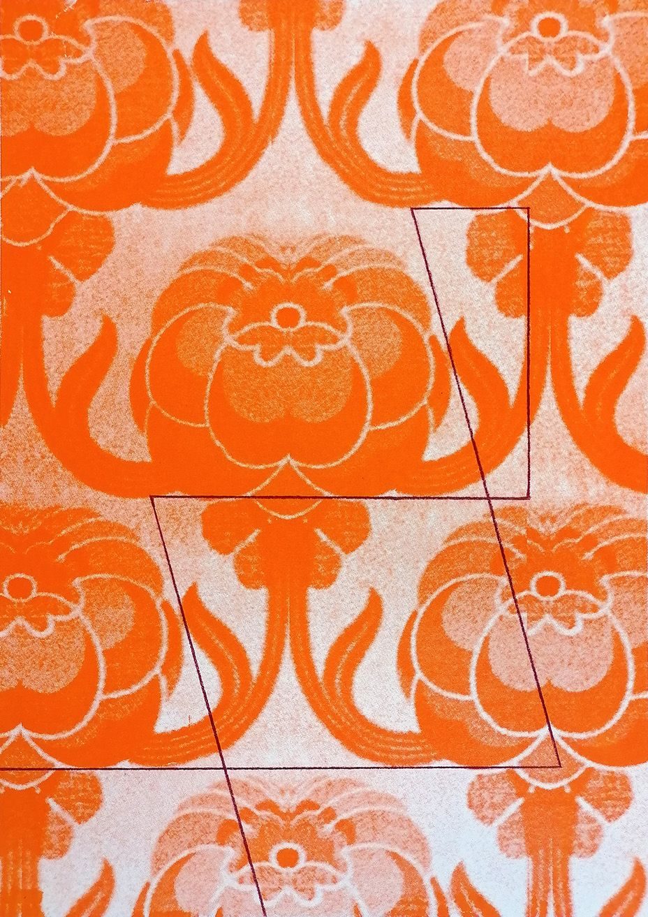 Colour pencil on screenprint on paper