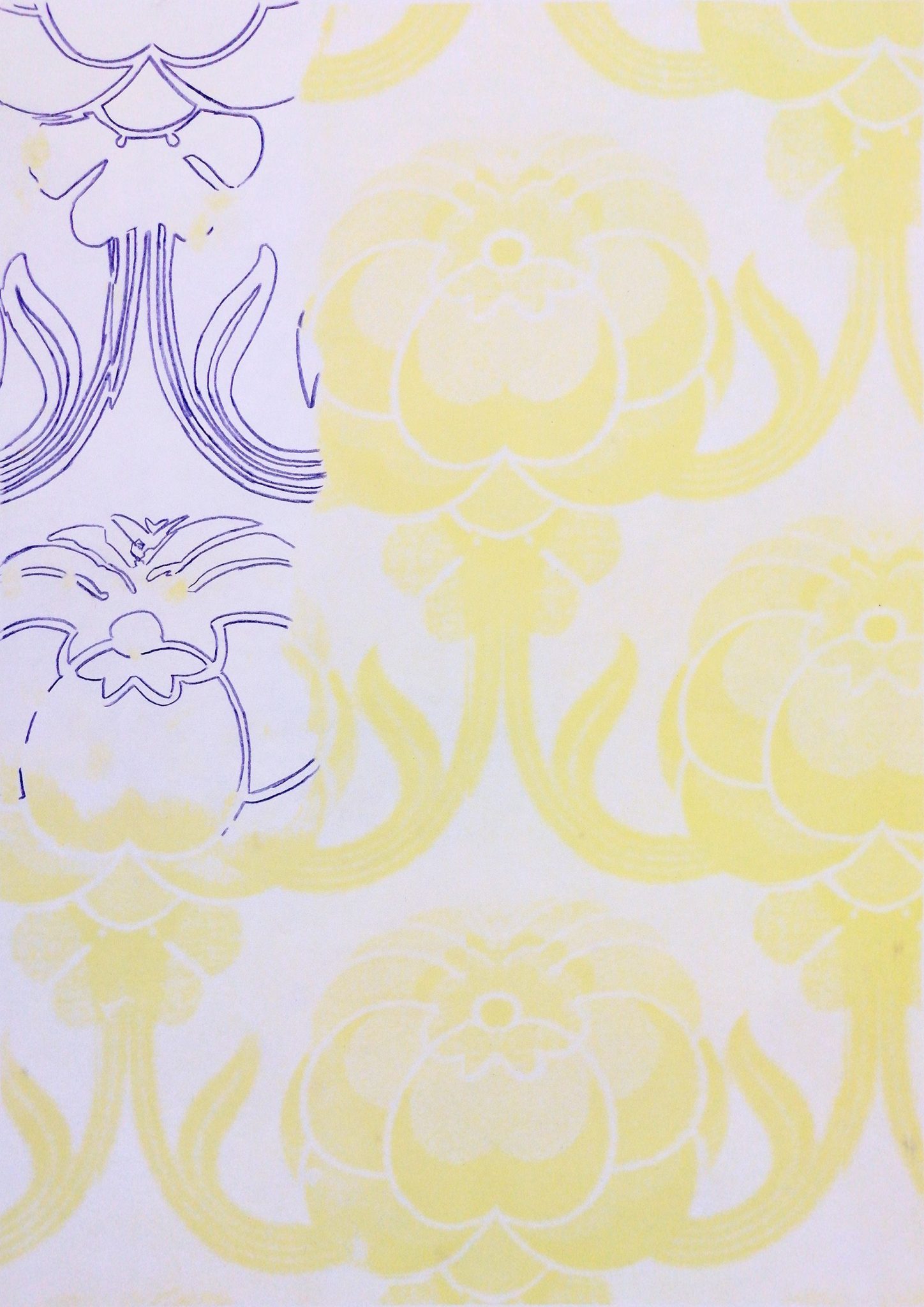 Colour pencil on screenprint on paper