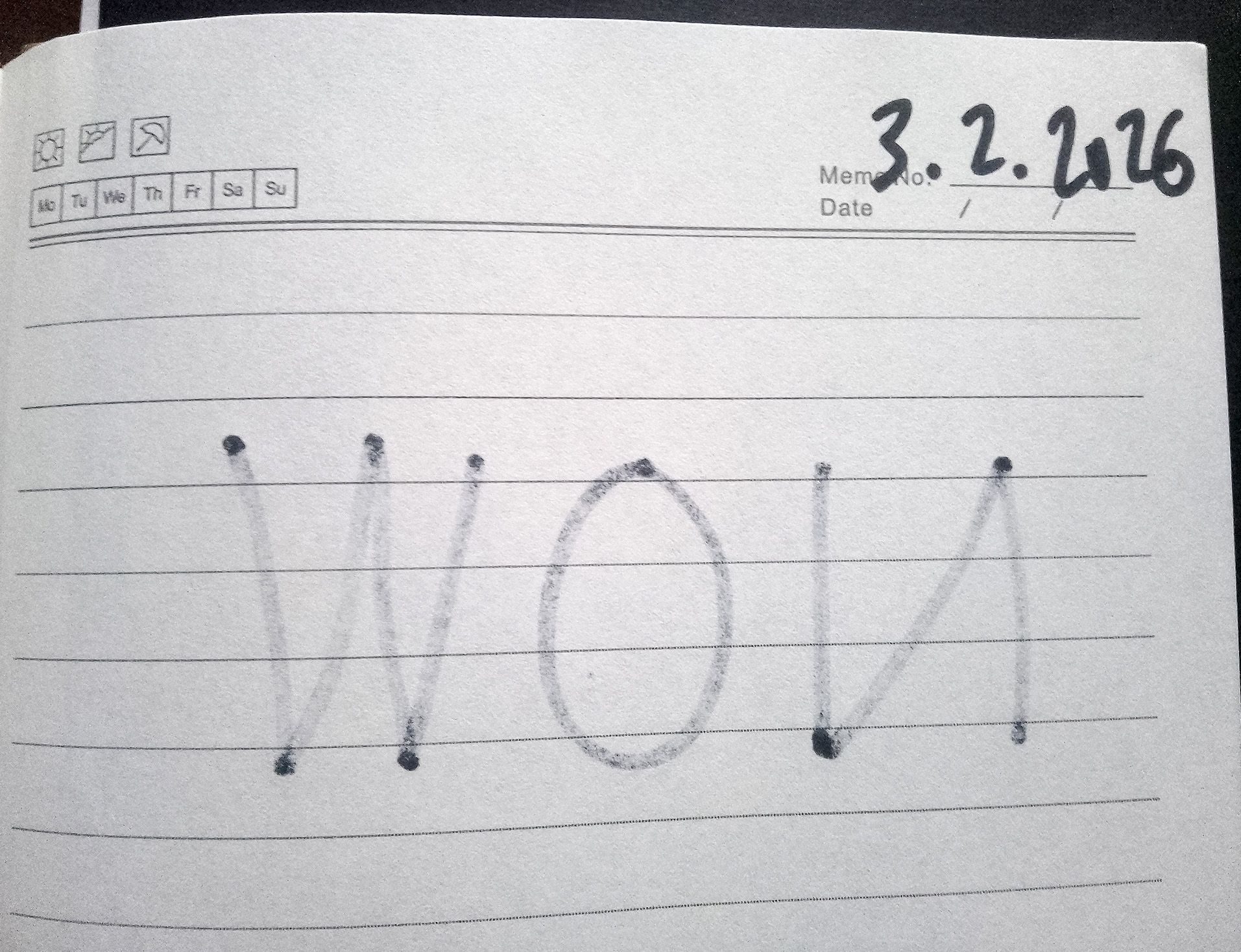 Sharpie bleeds on diary page