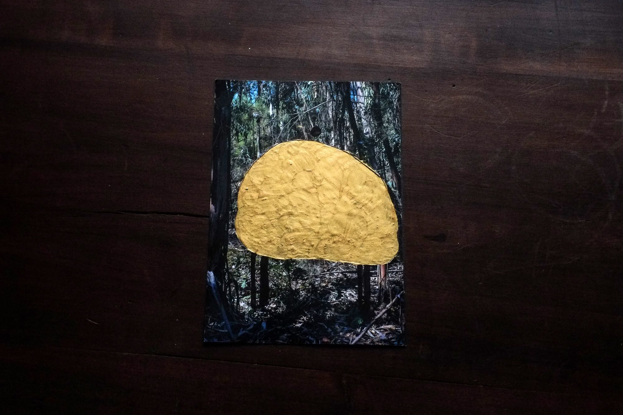photographic collage, gold paint, images from a forest in Castelo Novo, Portugal