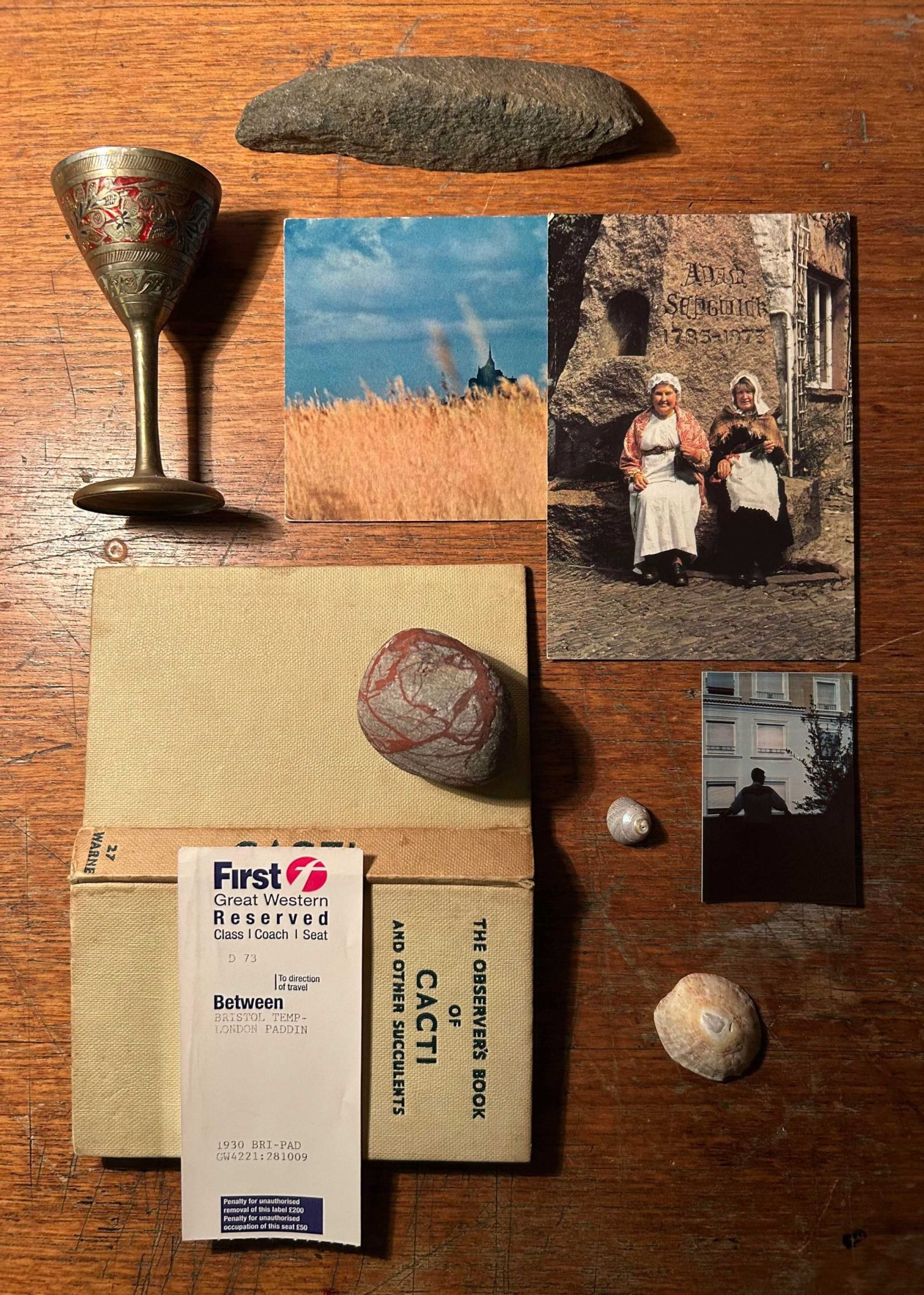 an arrangement of objects on a wooden desktop including postcards, a book about cacti, a train ticket, a golblet, two stones, two seashells and a small photograph