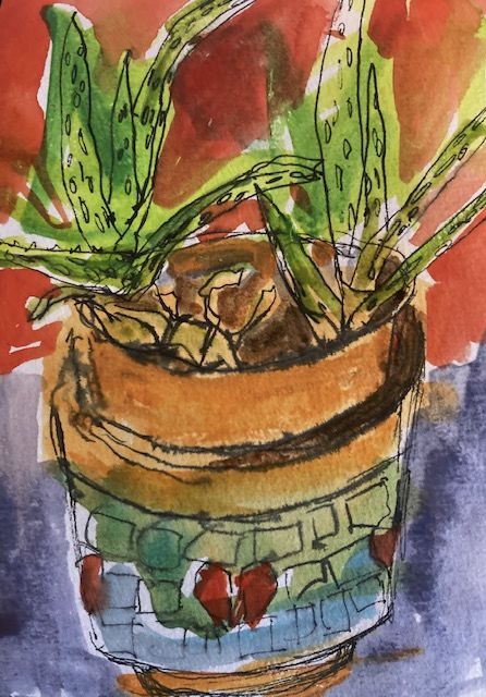 Two aloe vera plants in a double pot; watercolour and coloured pencil