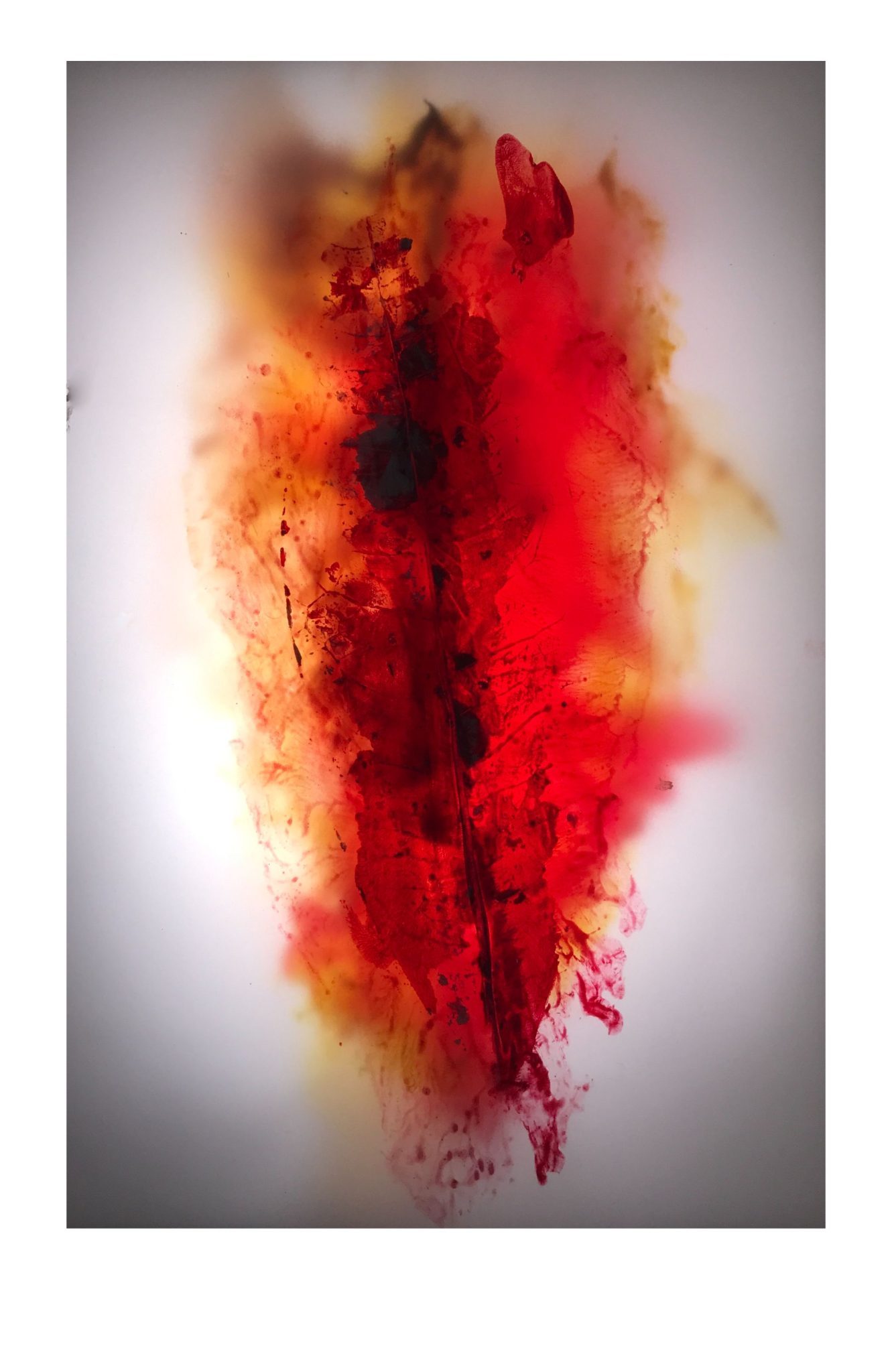 multilayer of translucid paper with stamped leaf shape as main figure, photographed with backlight