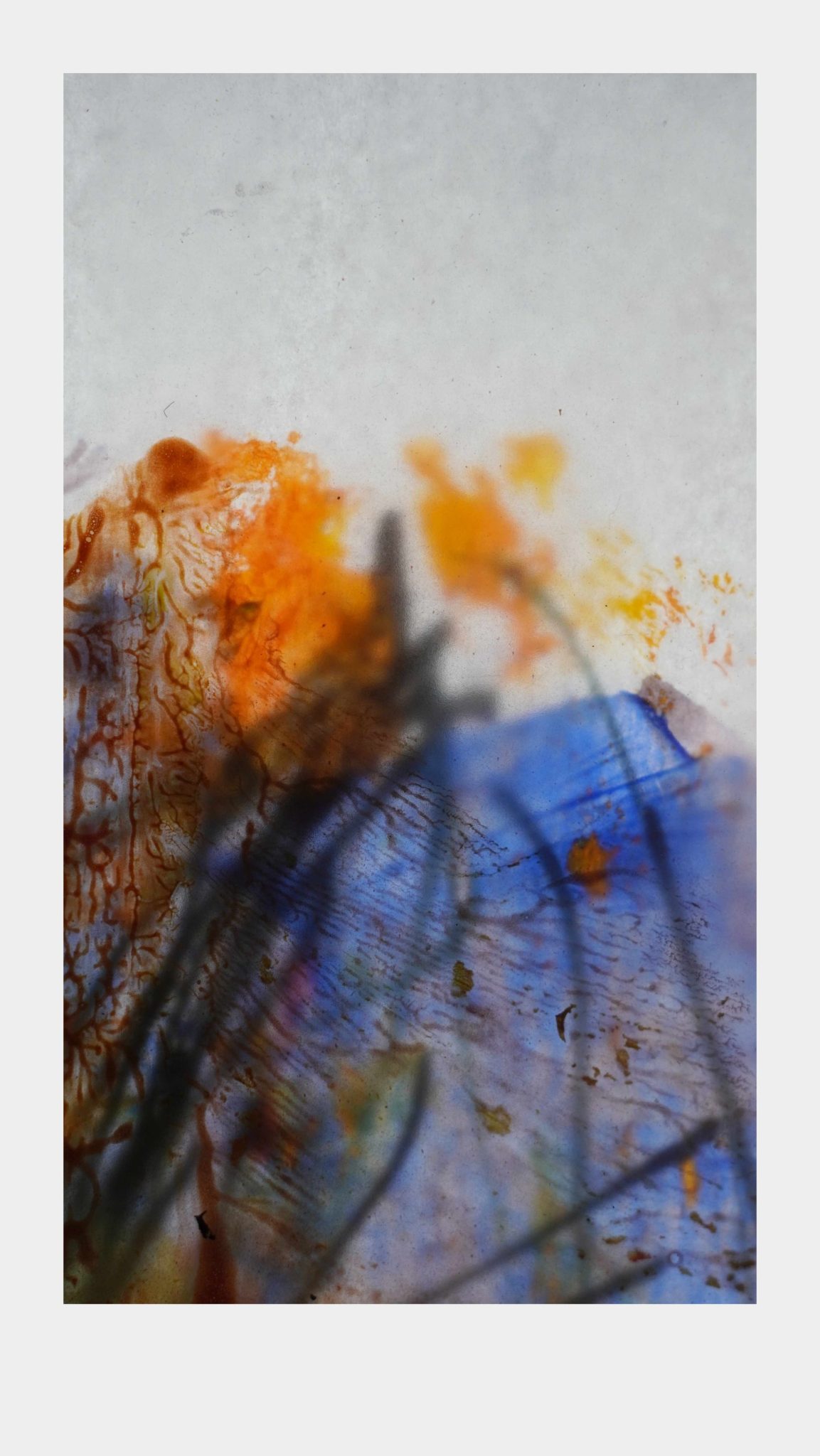 Close up photography of paint on translucent paper, detail