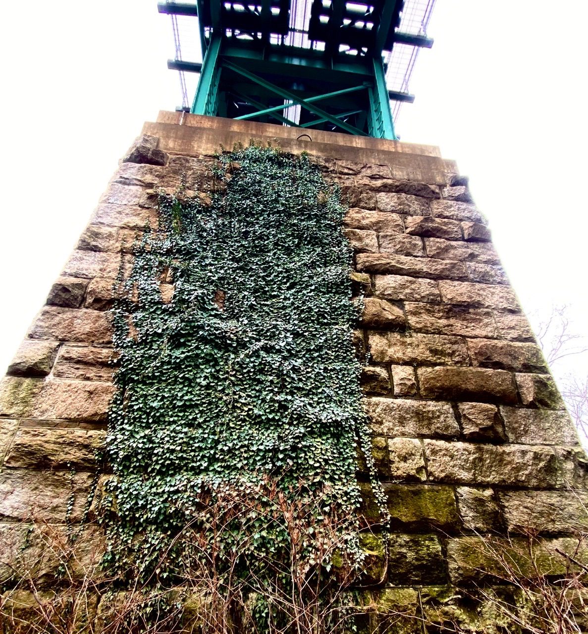 Photograph of greenery on the bridge stonewall