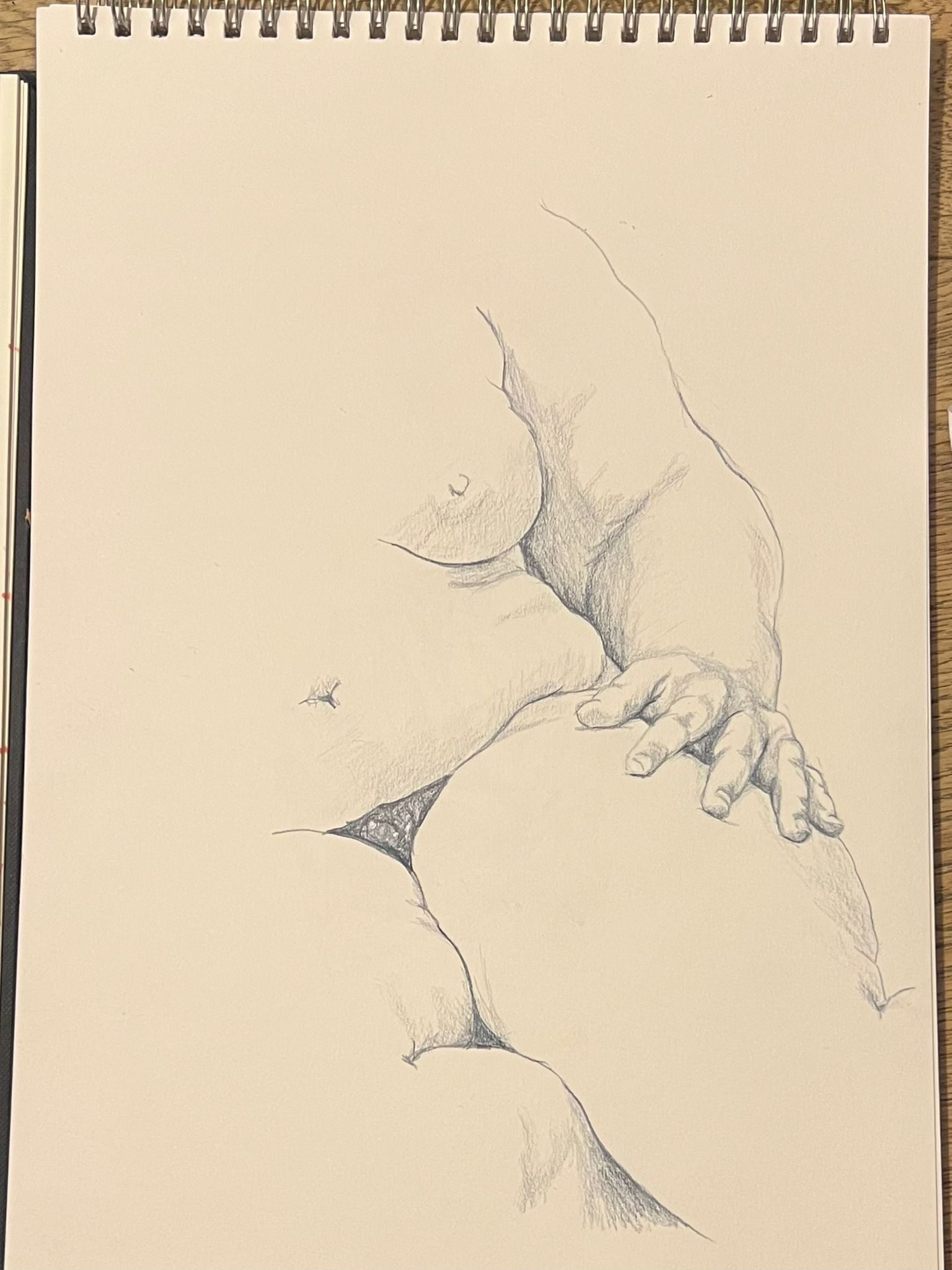 Pencil study of seated female nude