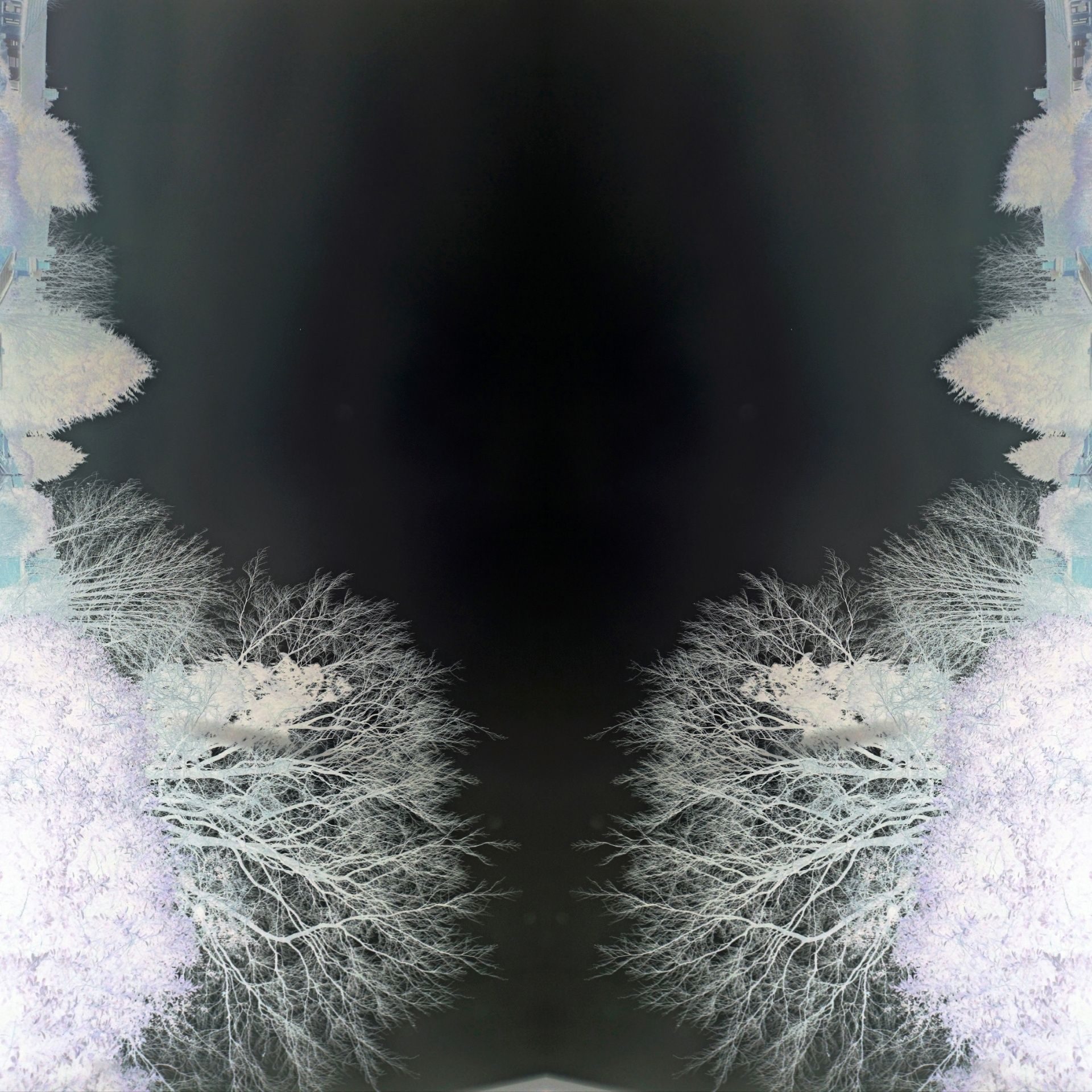 An image of trees and sky is copied and then the 2 are locked together as one ,like a reflection of one another.  This is digitally inverted so the opposite colours appear, and white becomes black, leaving a black tree like shape in the middle of the image, formerly the skies, edged by tree silhouettes.
