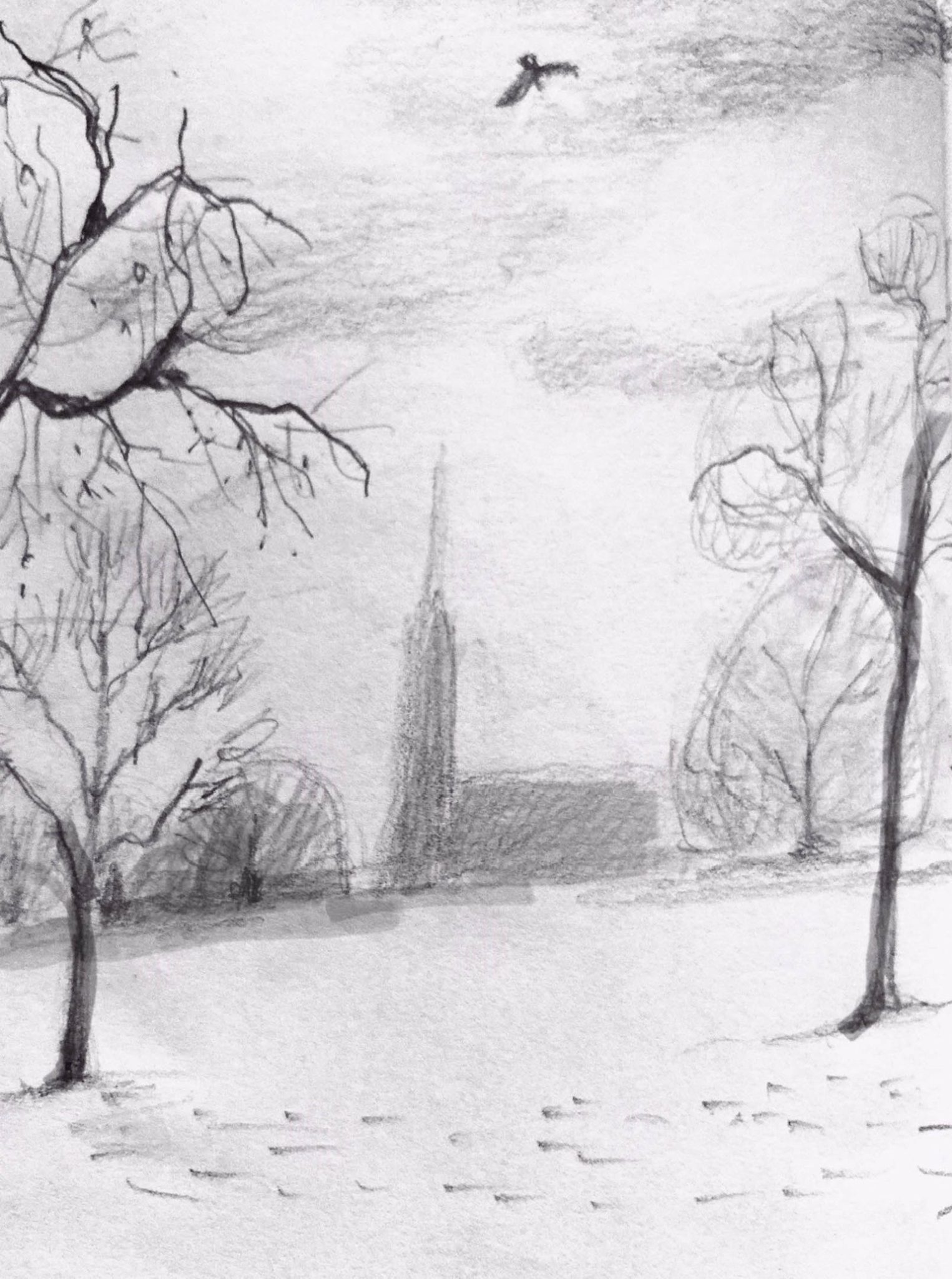 Pencil drawing of a park with building and trees in distance and leafless trees In foreground, there is a bird flying in sky