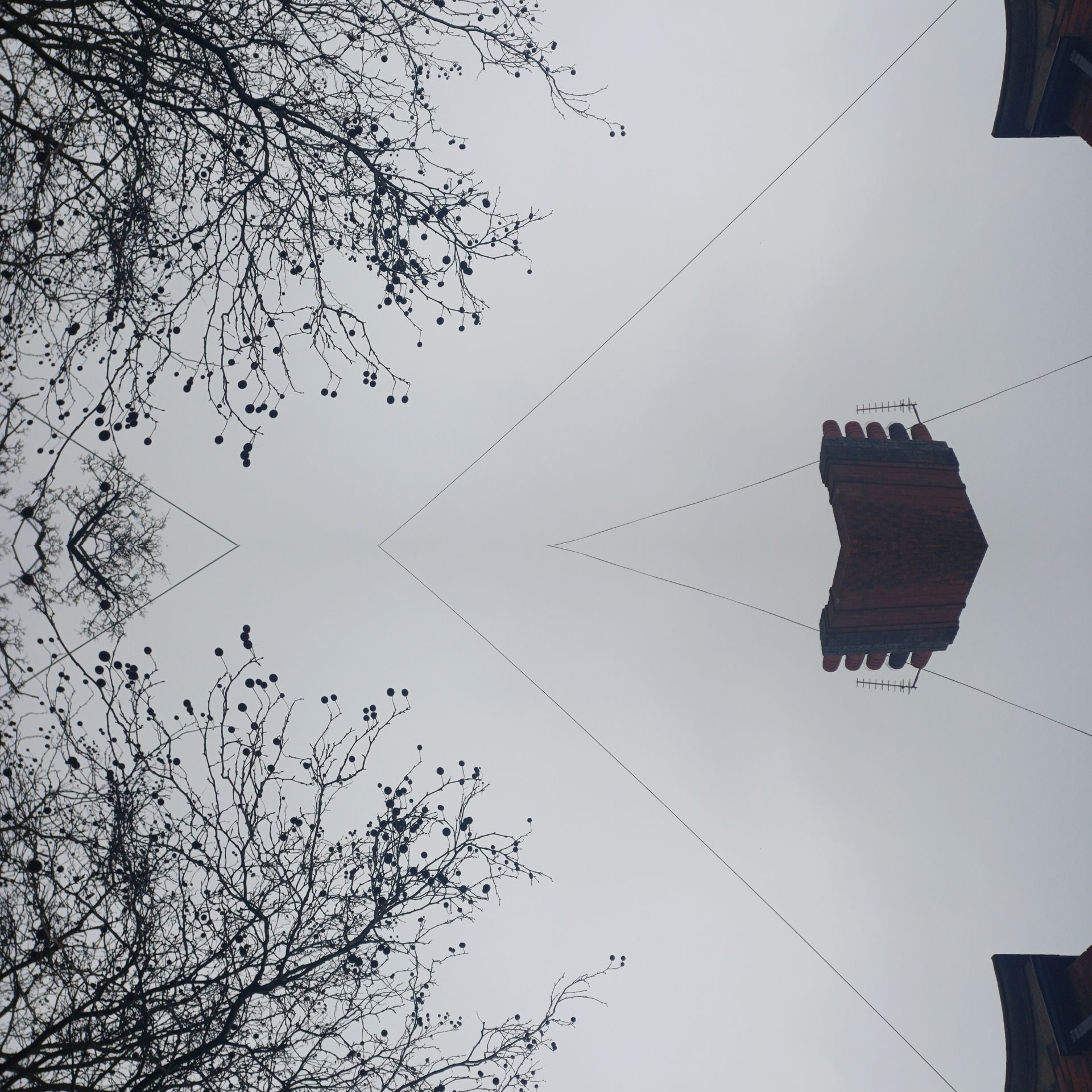 photo of the sky and chimney pot was copied, with one of the images turned upside down.  They were then placed together, next to each other, with the sky sandwiched in the middle .  The bit of chimney pot in each photo connected, making a strange flying object or bird, with a surprising quality.