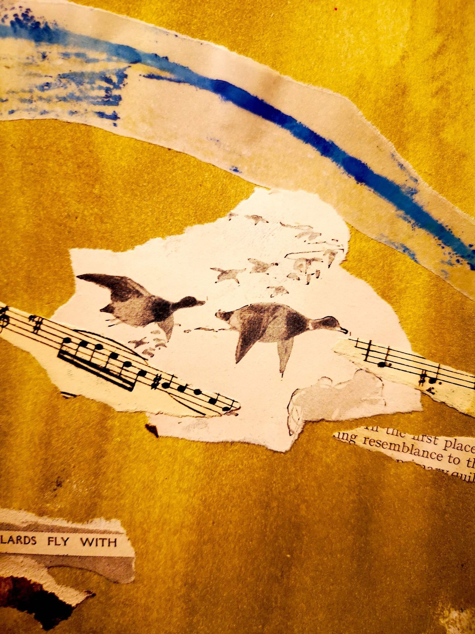 a collage with photo of mallard ducks flying alongside rows of musical notes, the line of their flight shown in blue paint