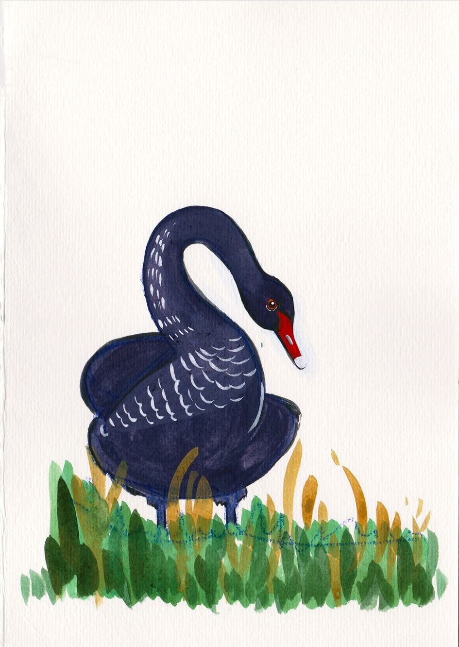 A painting of a black swan with grass in front of its feet