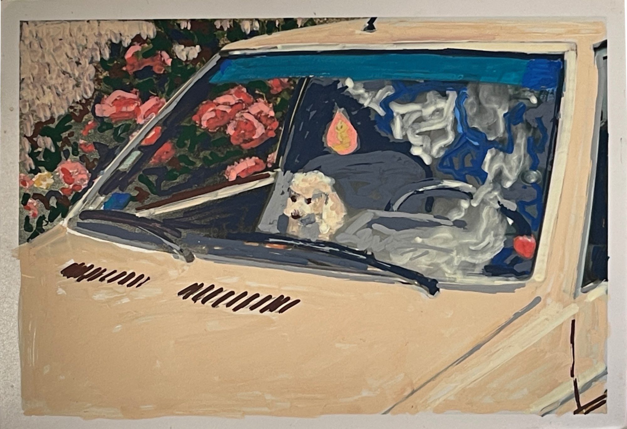 Poodle sitting in a car with pink flower bush. Posca pen drawing on photo