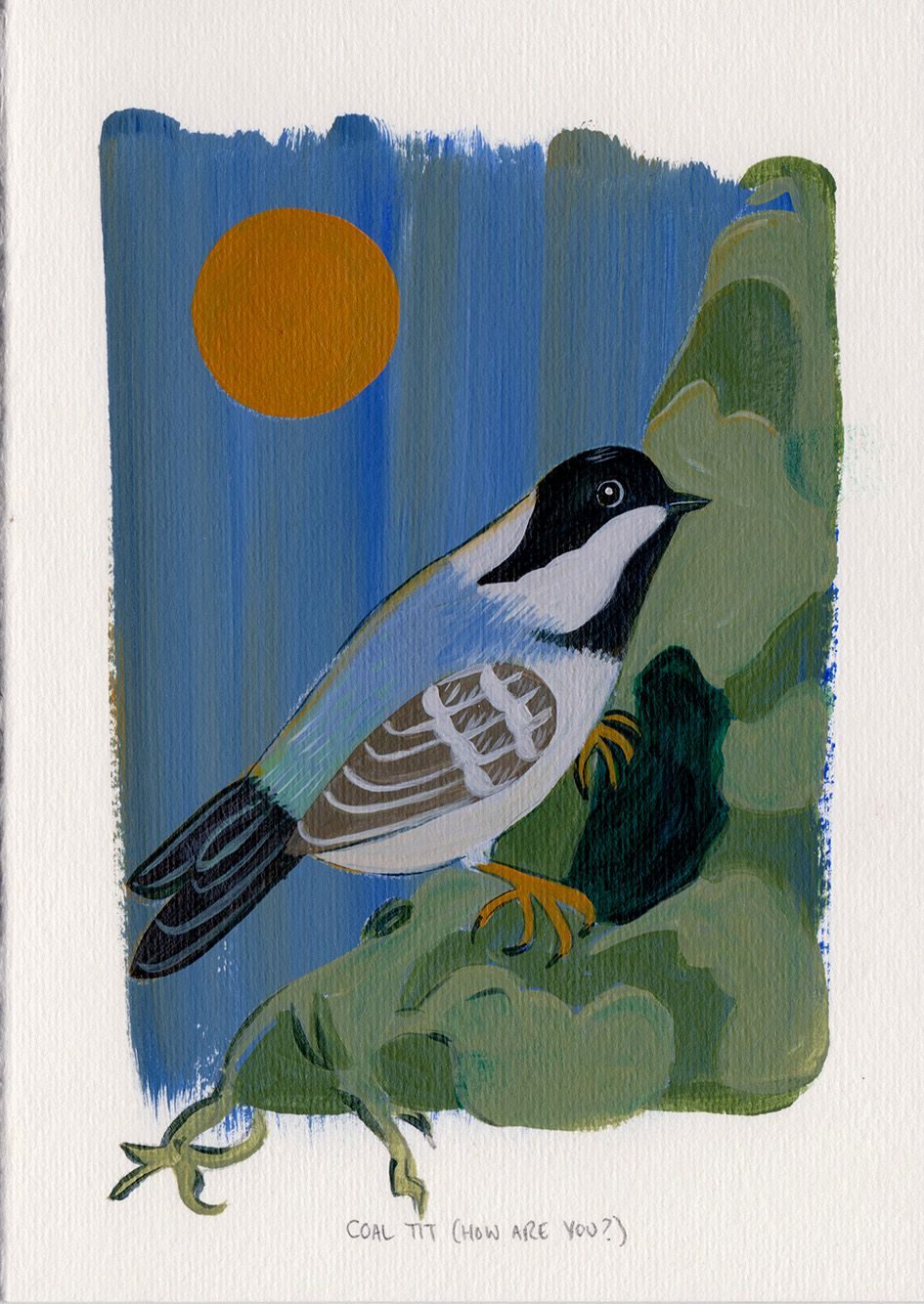 A Coal Tit bird climbing a tree, deciding whether to keep going or take a break and hide inside the tree.