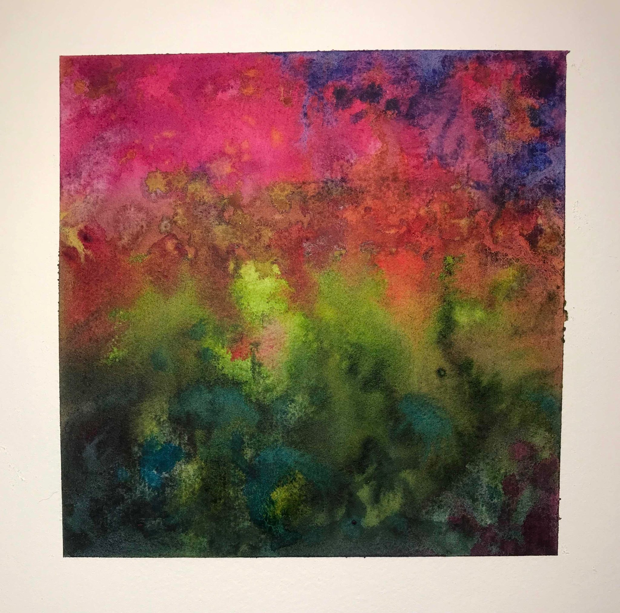 A square abstract watercolour painting with lots of saturated magenta, and shades of pink and purple on top and shades of bright yellow green to dark green on the bottom with some bluish pops here and there. All the colours have bled together and wet on wet techniques have created blooms.