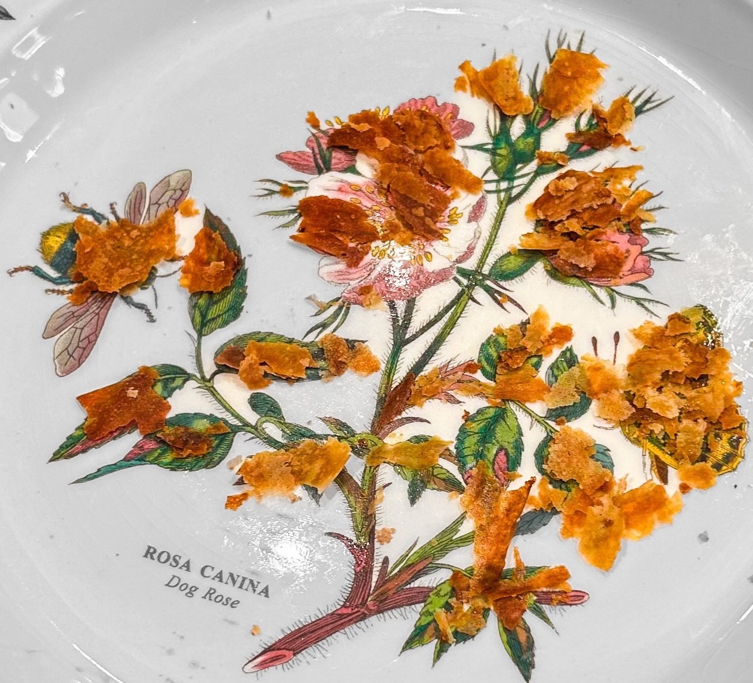 Photo of morning croissant crumbs artistically arranged for garden birds to enjoy