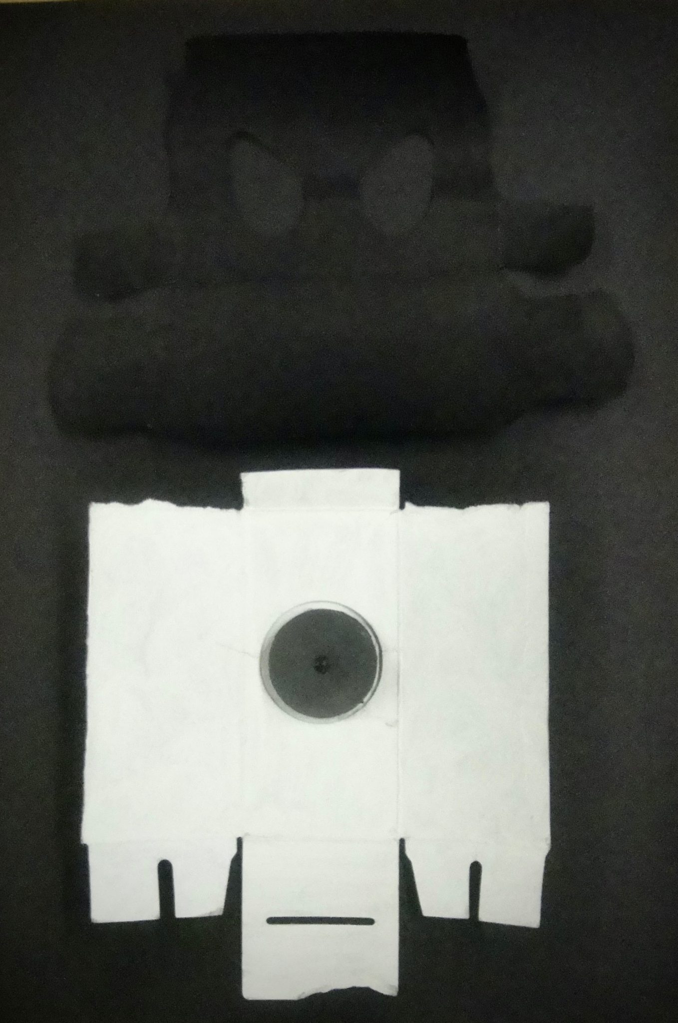 painted avocado and cat litter packaging