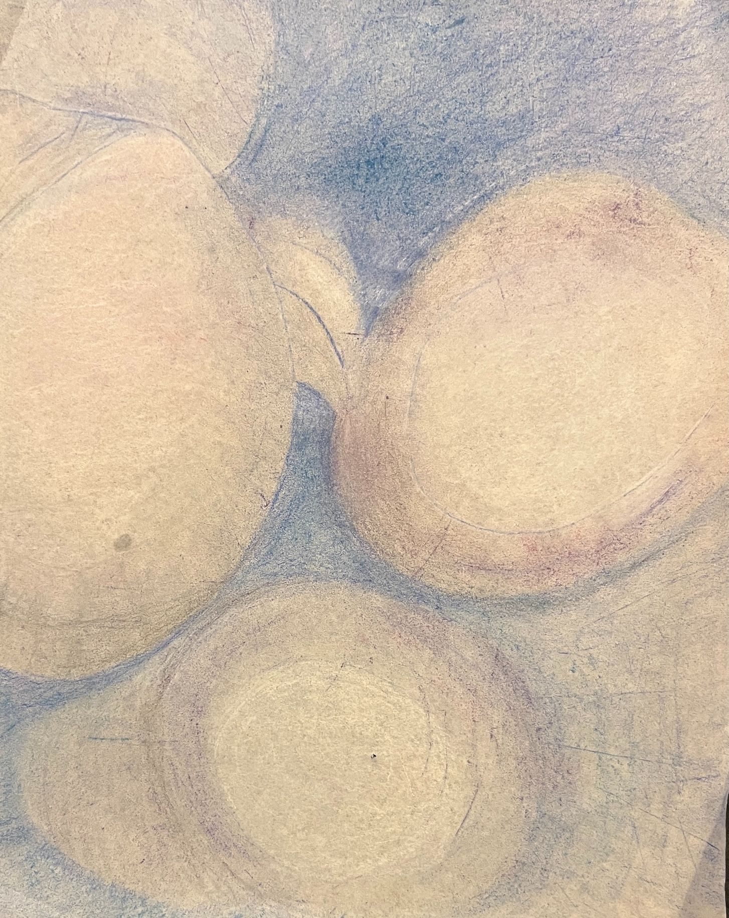 conte crayon to create these powder puffs of light amongst the leaves