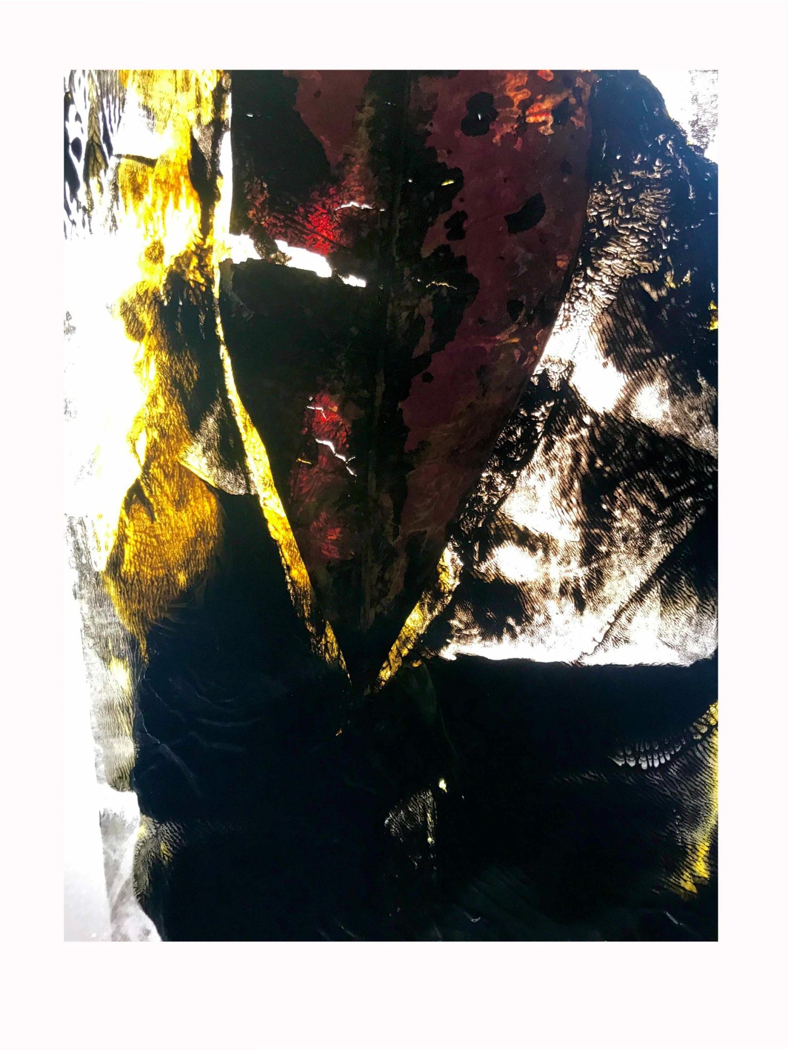 Leaf used as stamp, detail