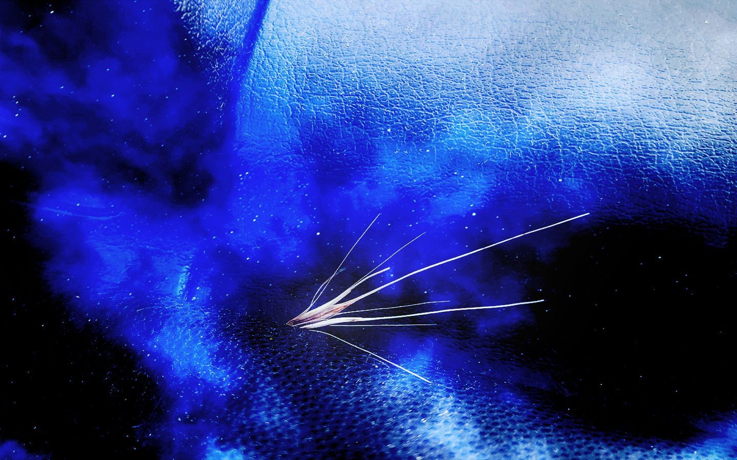 a photo of an elaborate grass seed on a car dashboard with stars and clouds superimposed over the top