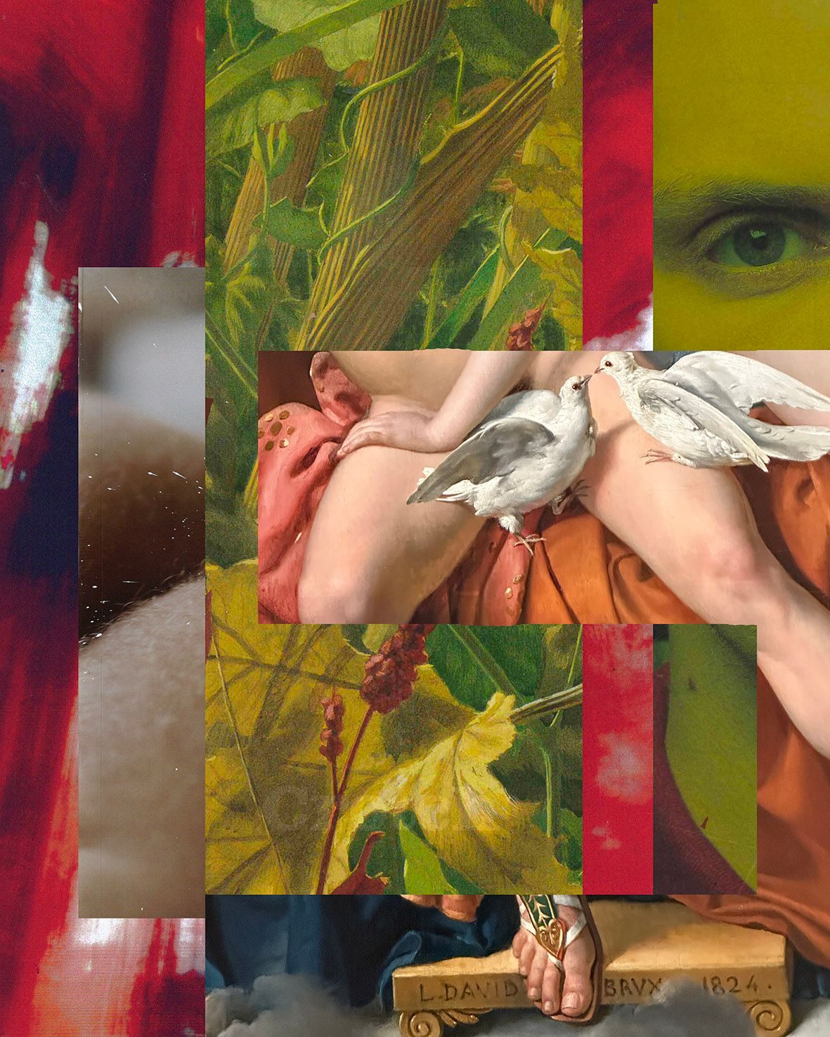 A collage using a variety of plant and human forms