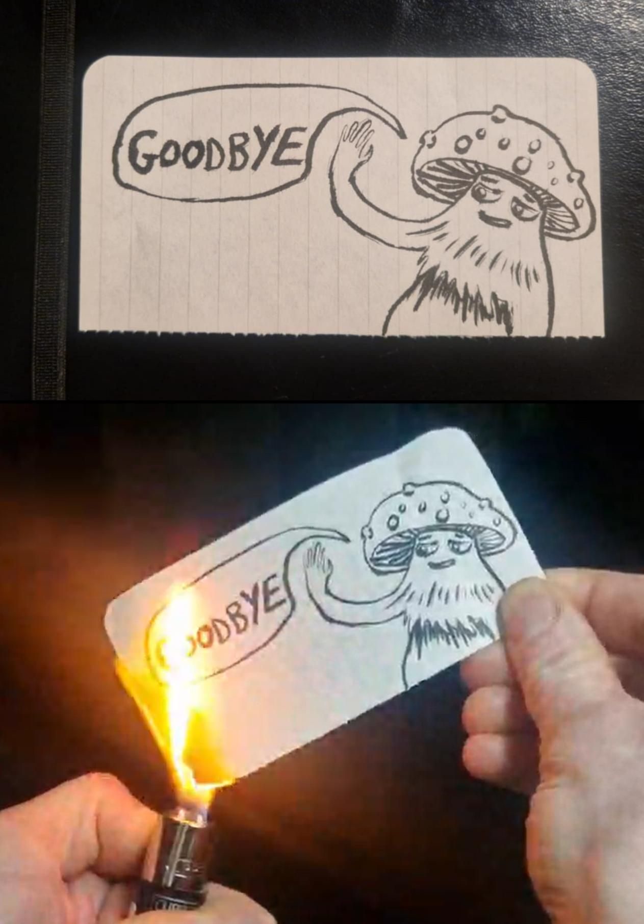 A black line doodle on lined paper of a mushroom with a face waving and saying 