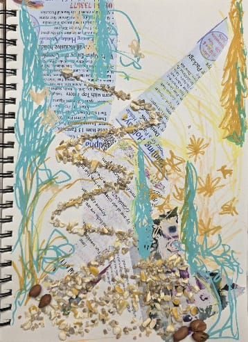 Birdseed pathway on a magazine collage background with scribbly garden plants using watercolour pens