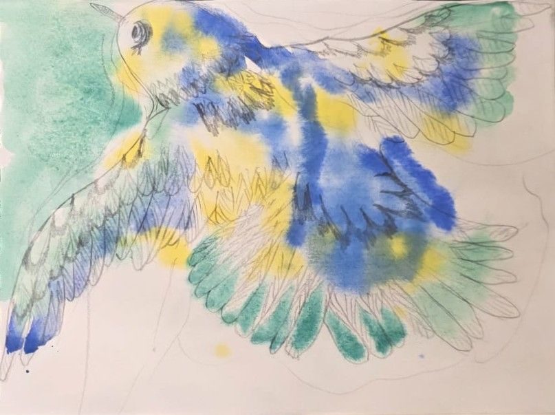 Abstract rear view of a bird in flight.  Watercolour and pencil