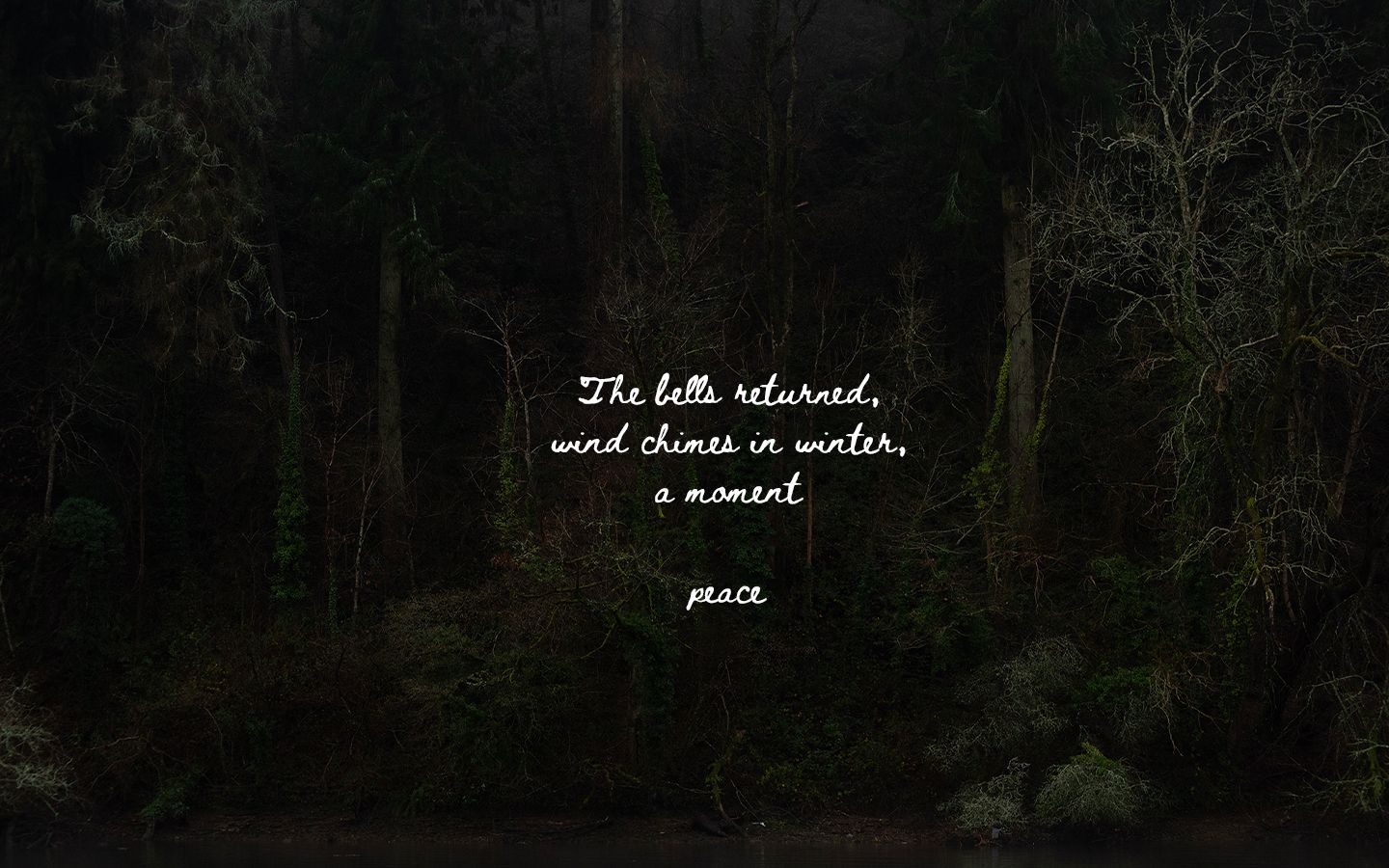 A grainy photograph of a treeline by the river with white text in the centre that reads 