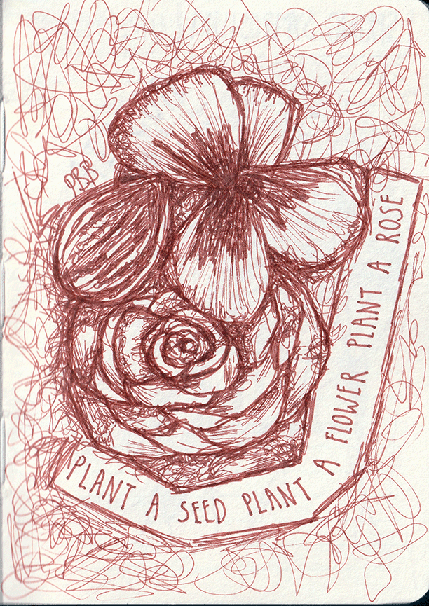 Brown ink drawing on off white paper showing three plant forms layered together: a rose in the centre with tightly spiralled petals, a pansy flower above with broad rounded petals, and a small seed form to the left. The plants overlap and are drawn with dense cross hatched shading and loose, sketchy lines. Energetic looping scribbles fill the background around the forms. Curved handwritten text along the bottom and right edge reads ‘Plant a seed plant a flower plant a rose’. The overall style is raw, layered, and expressive, suggesting growth and becoming.