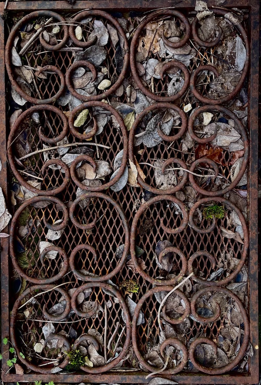 Decorative grate