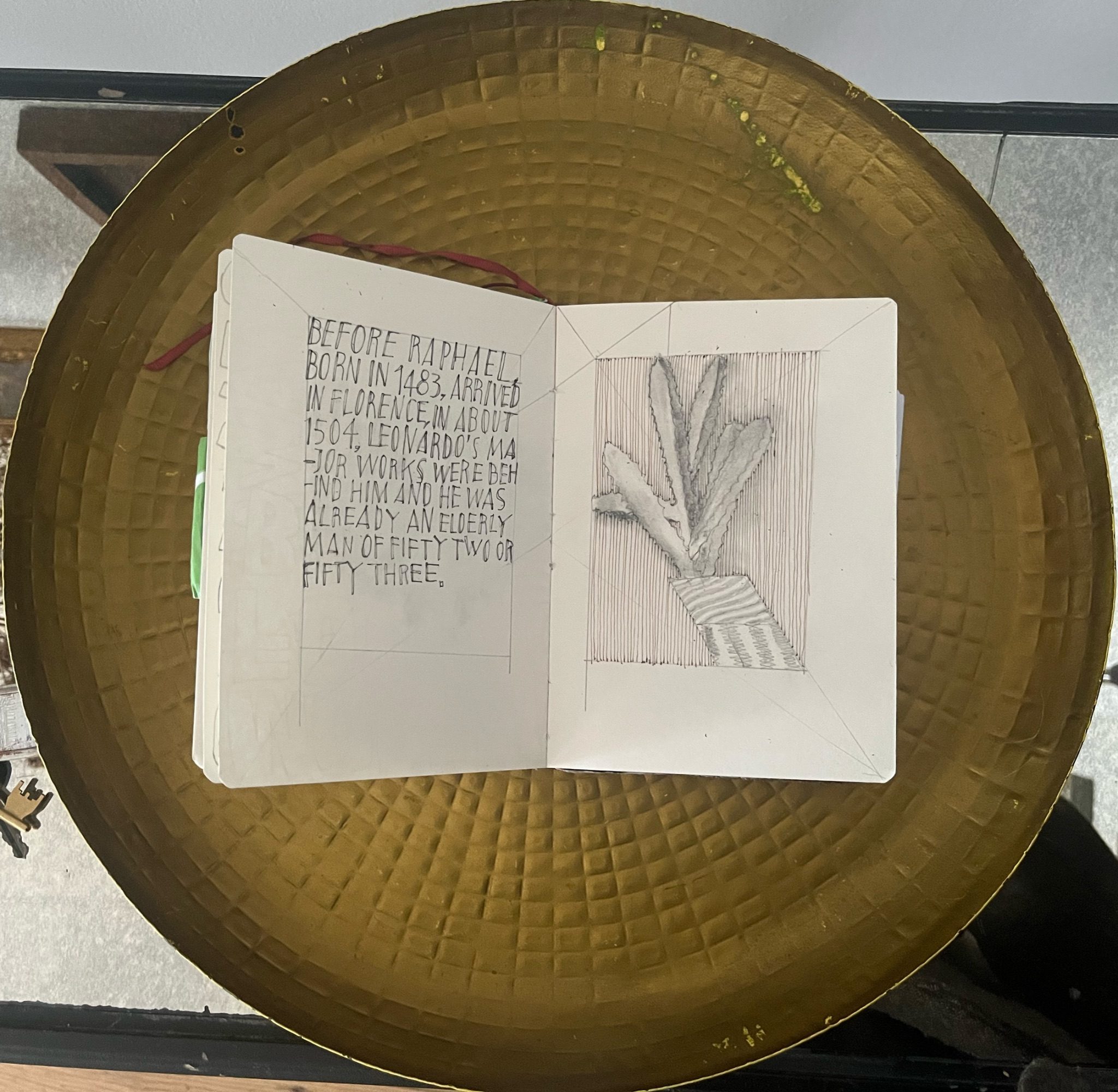 Drawing of a cactus, text describing Leonardo