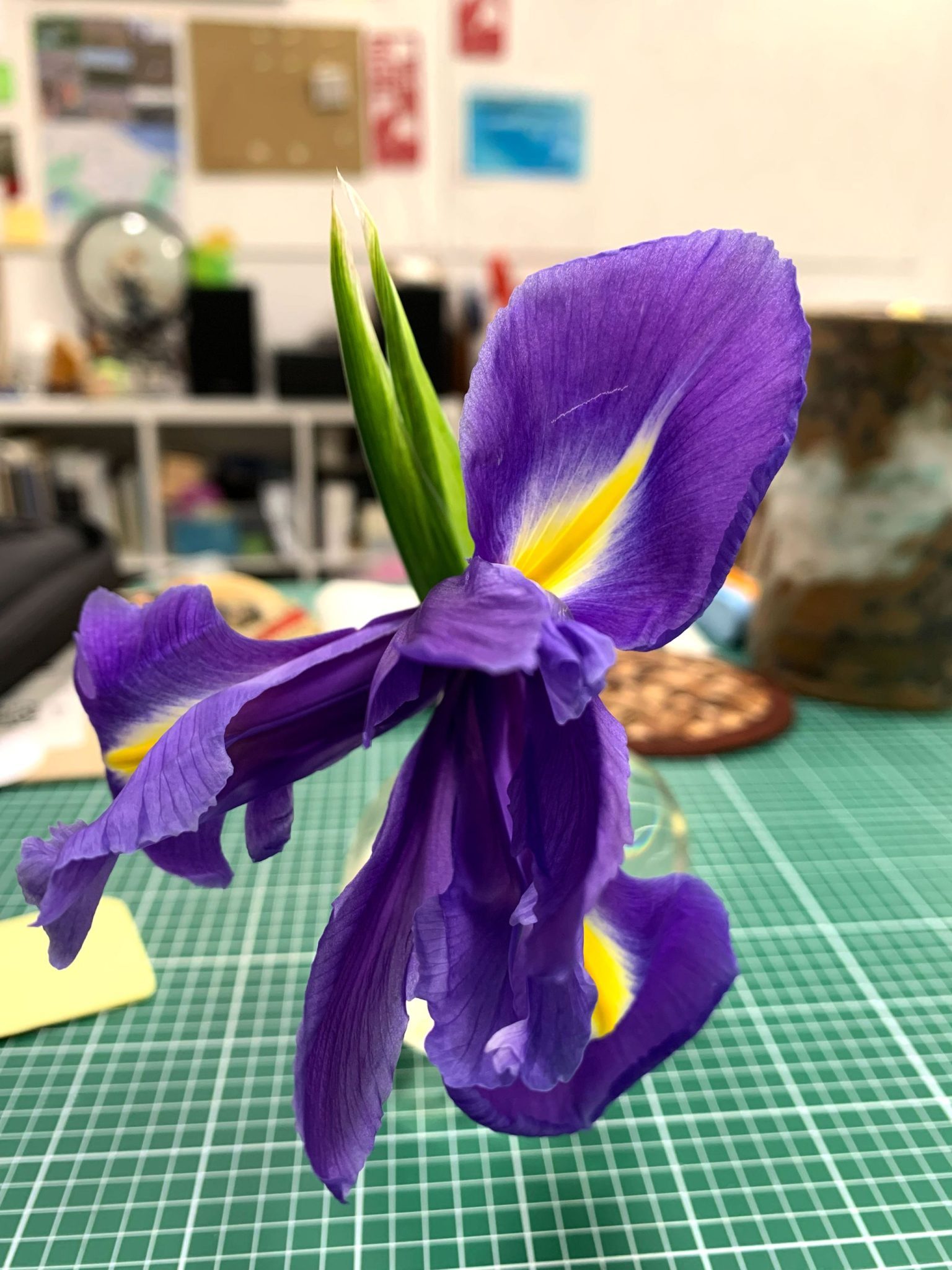 Flying inside studio