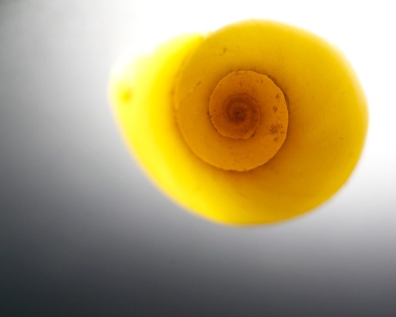 contents of my pocket