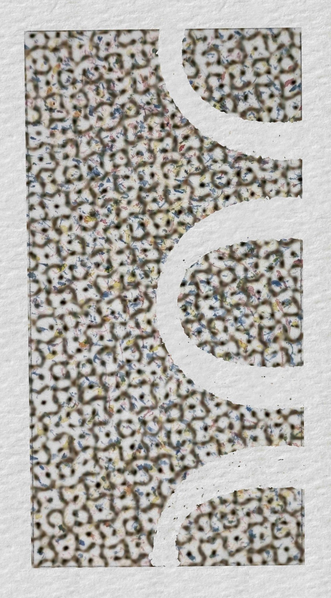 Photo collage, 1 by 2 format portrait.  Patterned texture showing parts of possibly 3 letters o top to bottom on the right hand side.