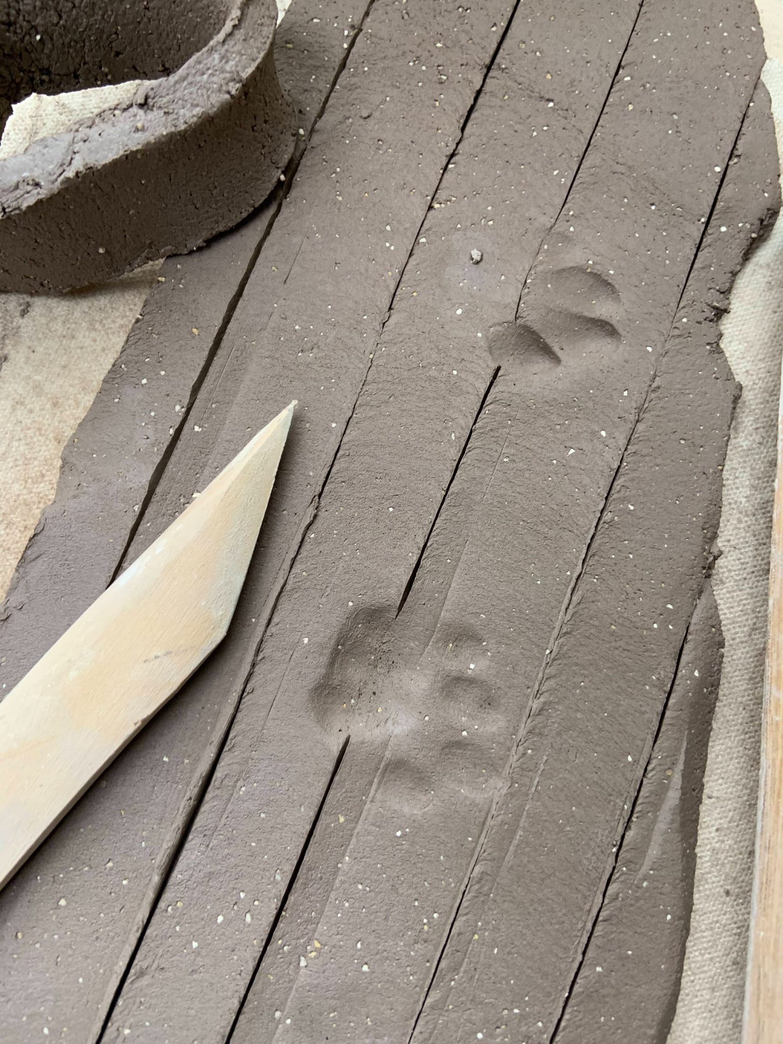 Photograph of cat paw print in soft clay