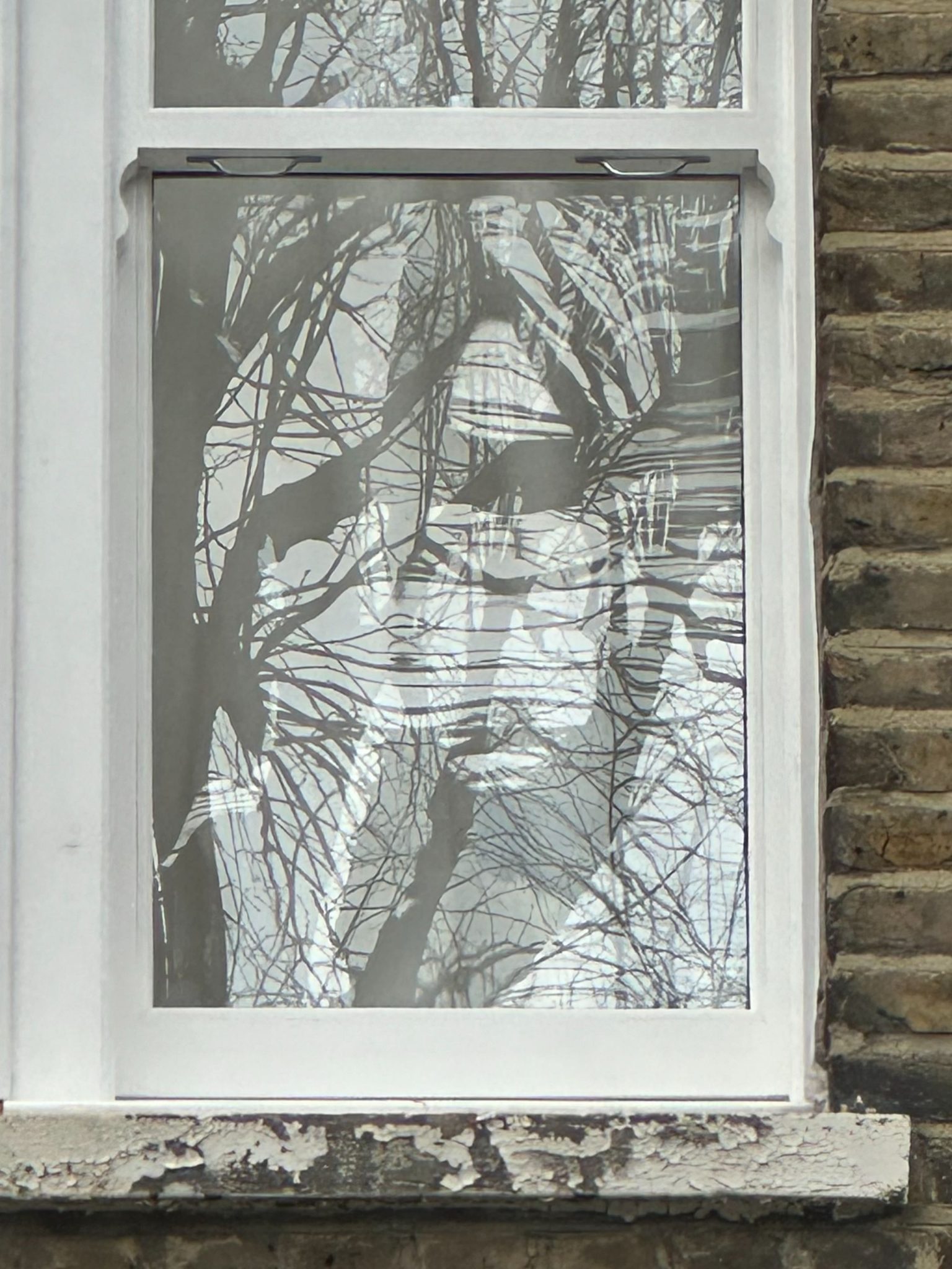 Photograph of reflection in window that looks like face of a person