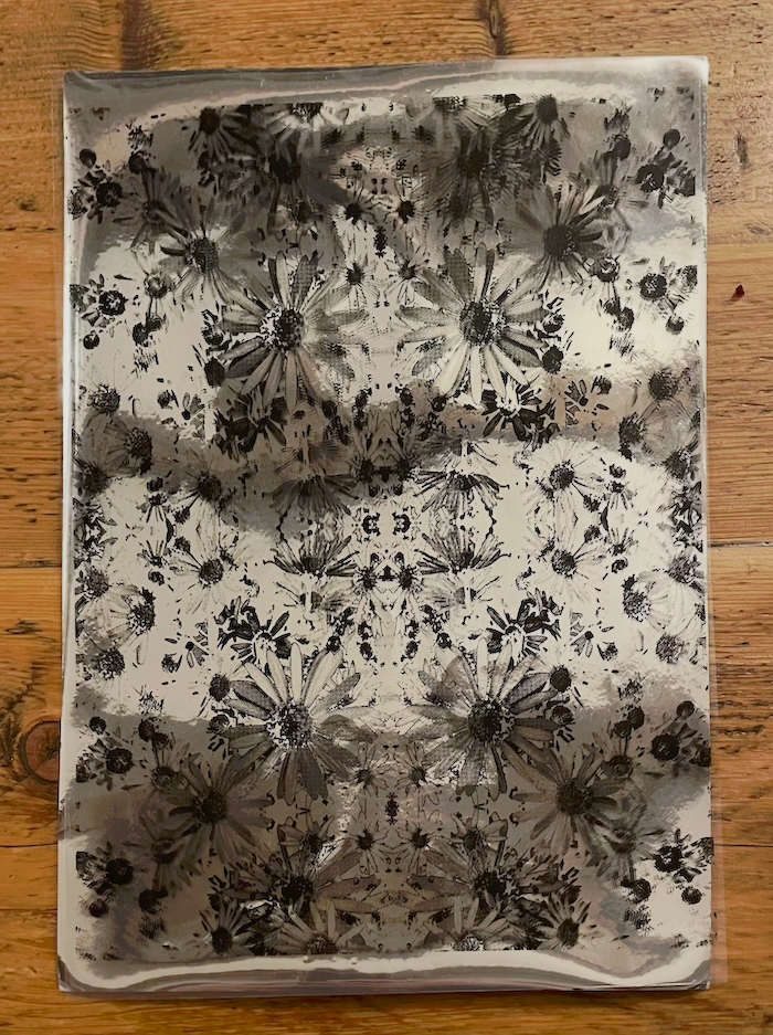 Repeated images of daisy over metallic cardstock