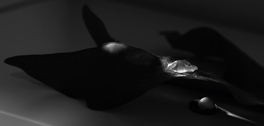 contents of my pocket